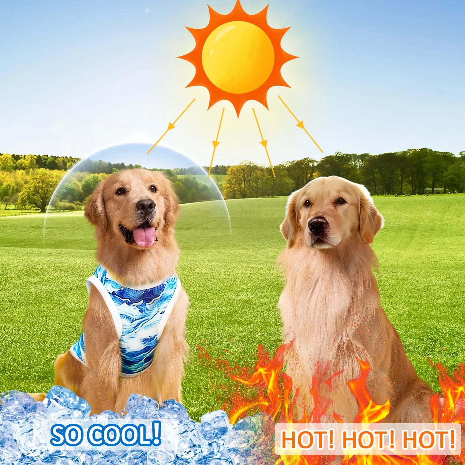 Gilet Rafraîchissant Chien, Veste de Refroidissement Respirante Légère pour Petits et Moyens Chiens