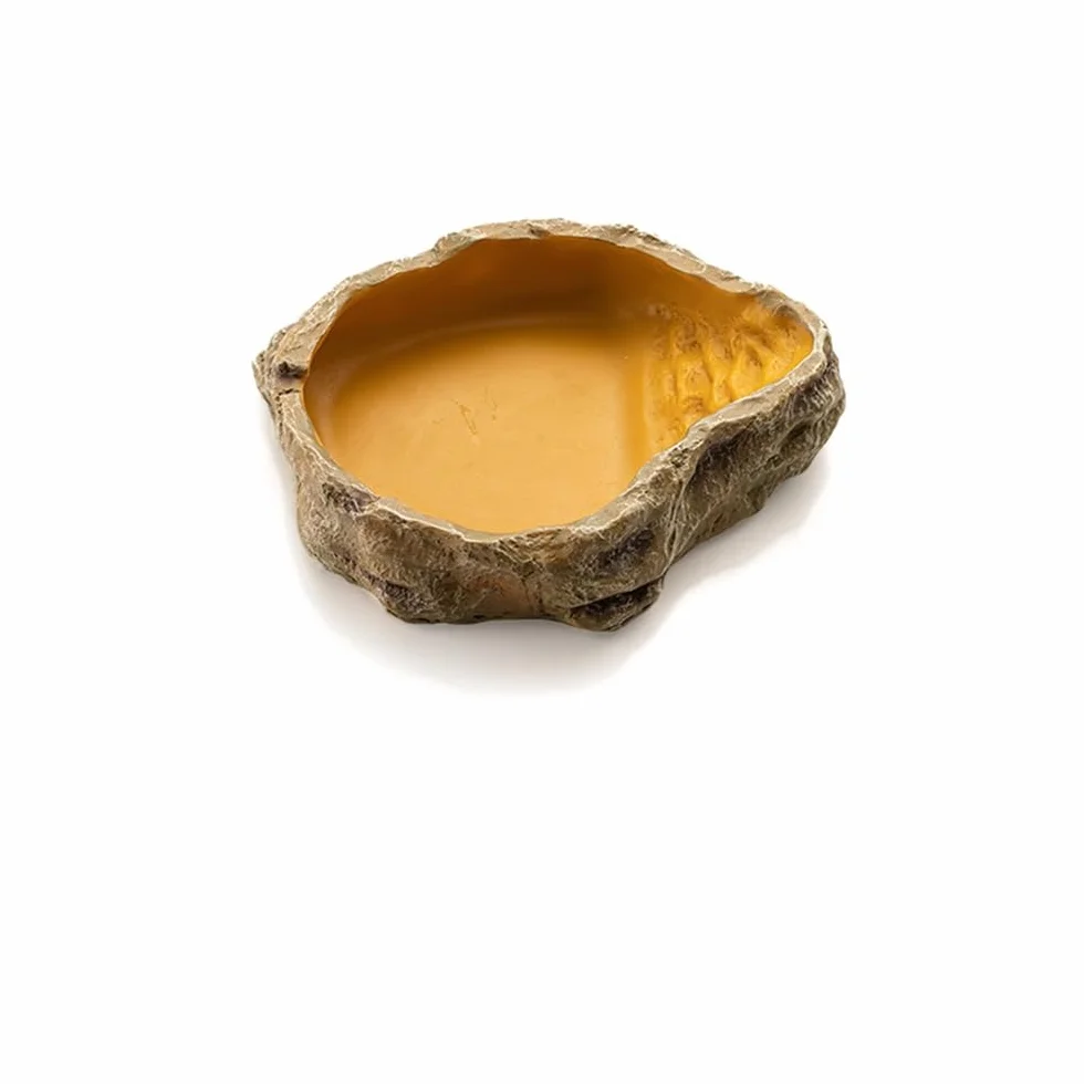 Bol à Eau pour Terrarium Tortues Reptiles Serpent Gecko
