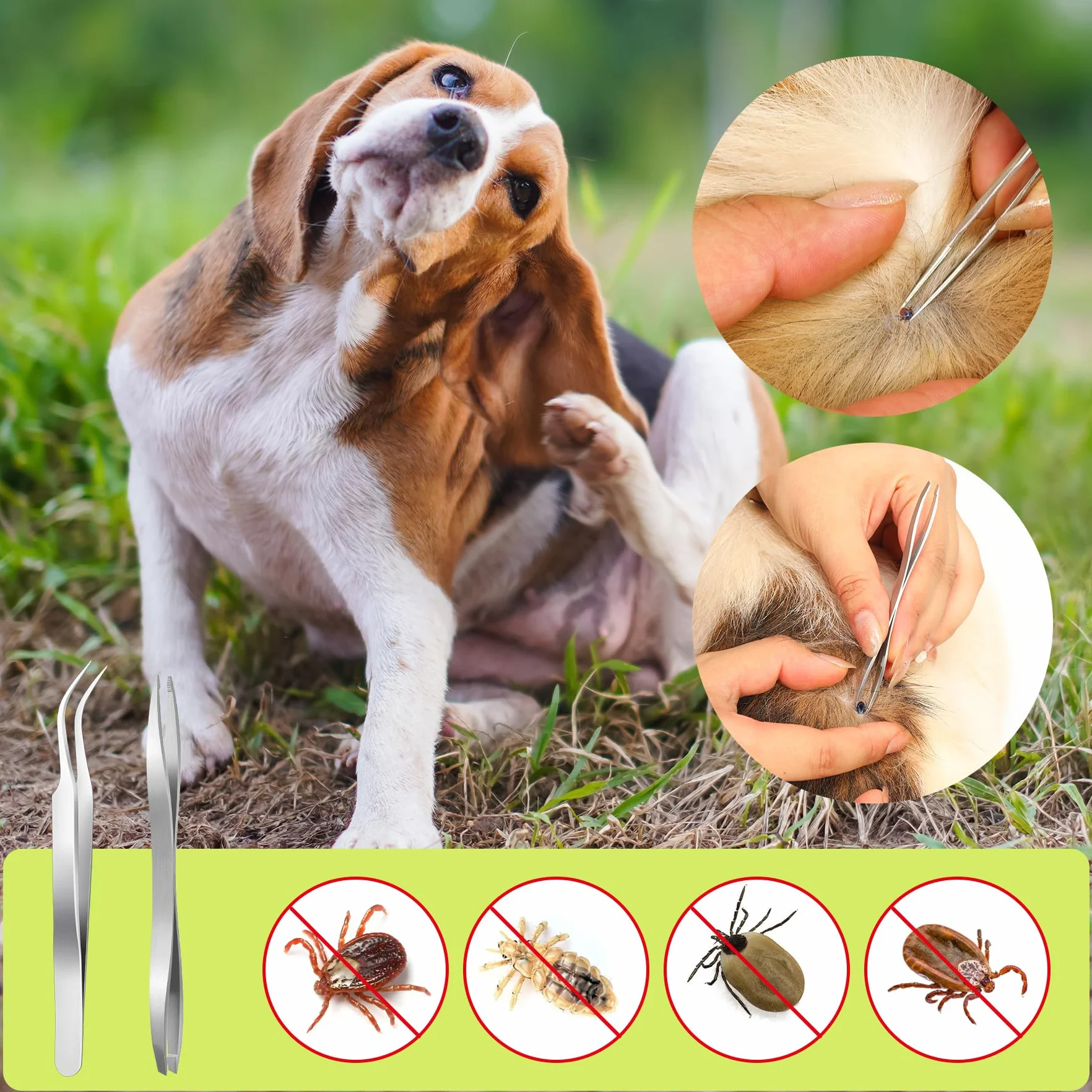 Pince à Tiques en Acier Inoxydable MELLIEX 5 Pièces avec Sac de Rangement pour Chiens et Chats