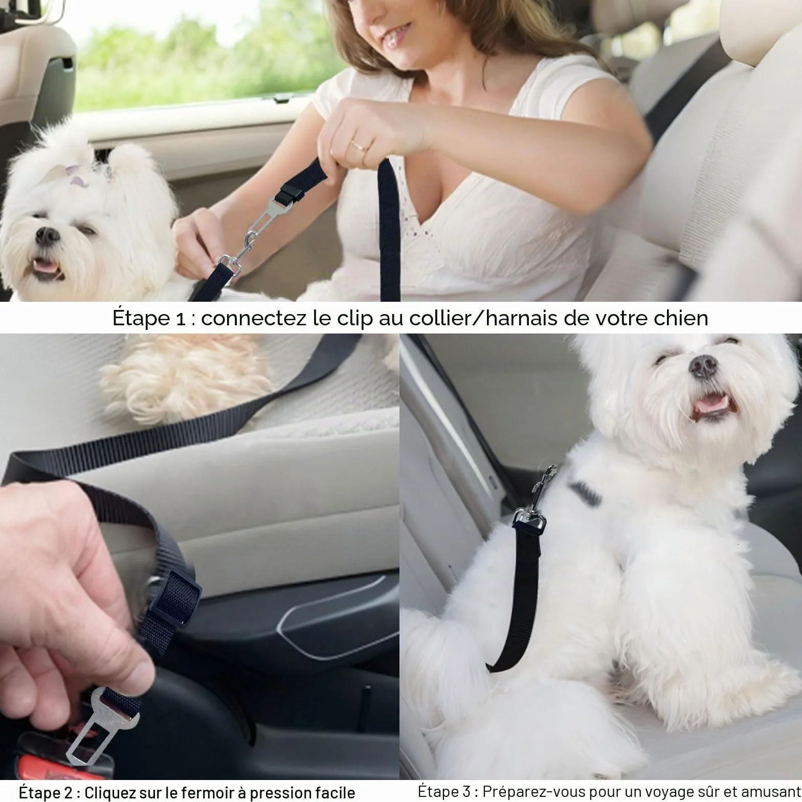 2 Pièces Harnais Voiture Chien Bleu et Noir Ceinture Chien 42-70cm Laisse Protégez-Vous et Votre Animal de Compagnie