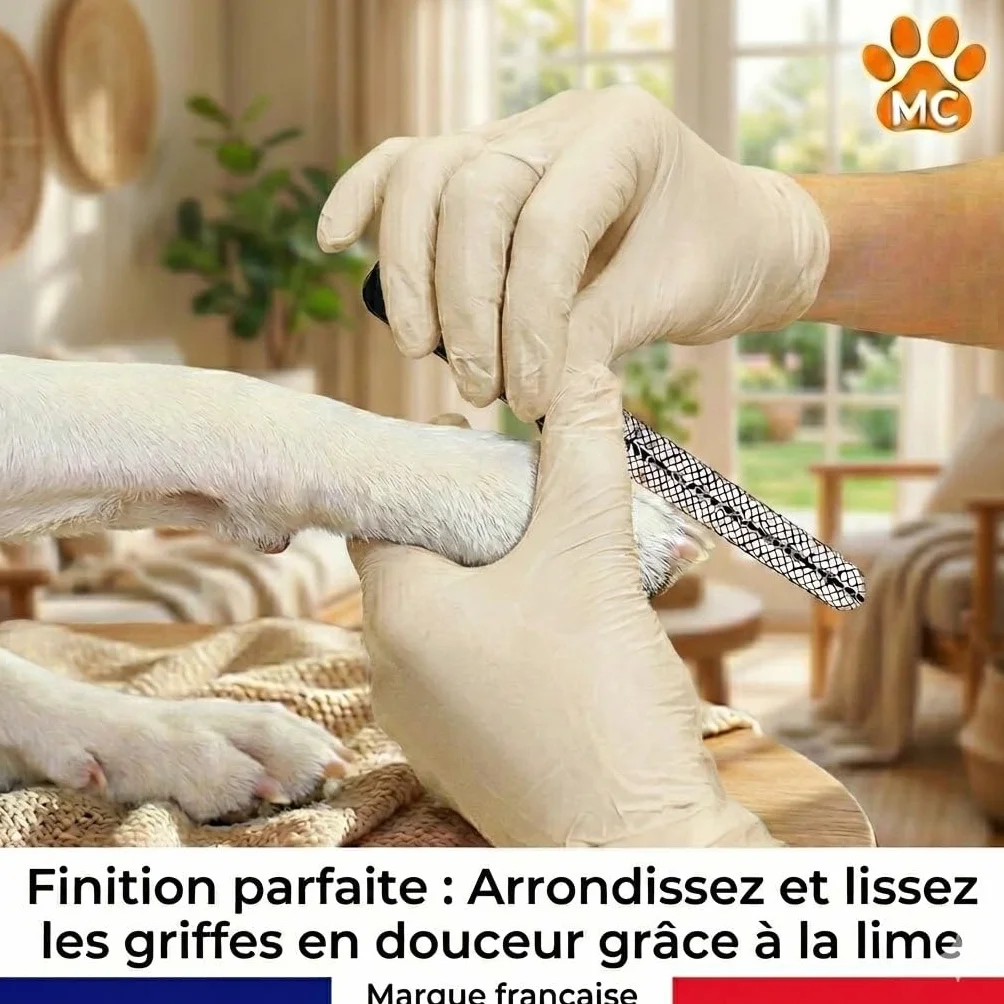 Coupe-Griffes Chien Chat Lapin Silencieux avec Lime à Ongles Incluse - Acier Inoxydable Antirouille