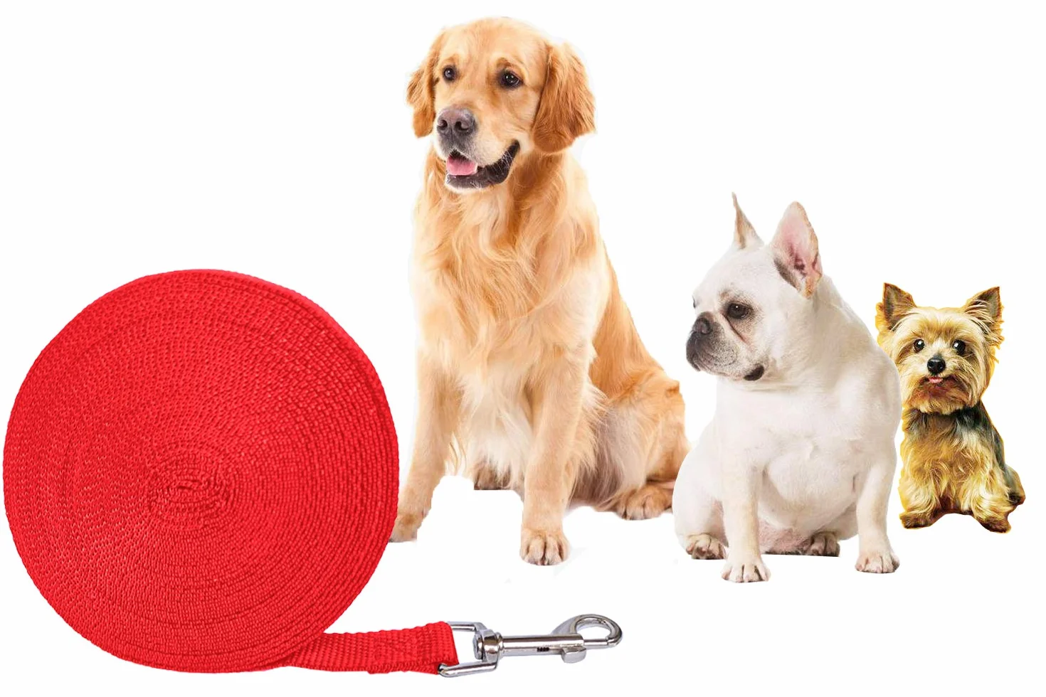 Lot de 2 laisses de dressage pour chien 10 m rouge