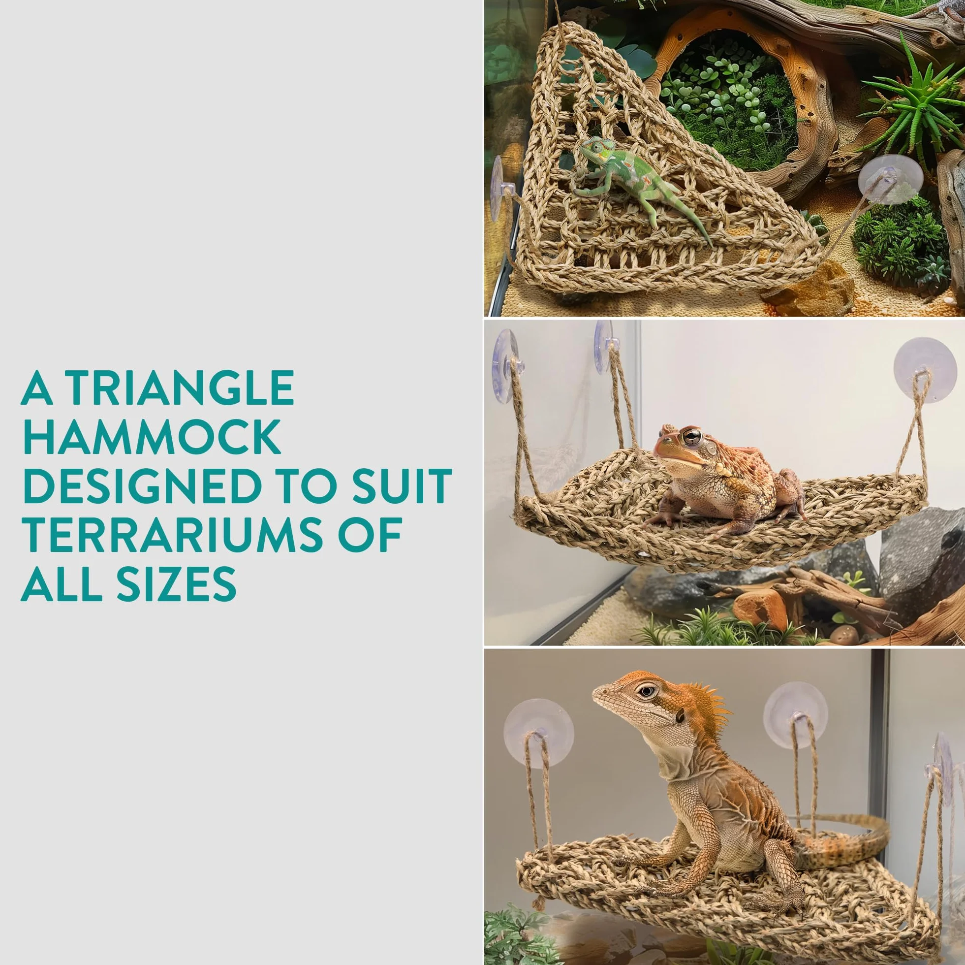 Navaris Décoration Terrarium Vivarium - Lot 5X Accessoire avec hamac Corde Petit Arbre Plante et Rampe en Bois - Deco Terrarium pour Cameleon Dragon Barbu Gecko lezard