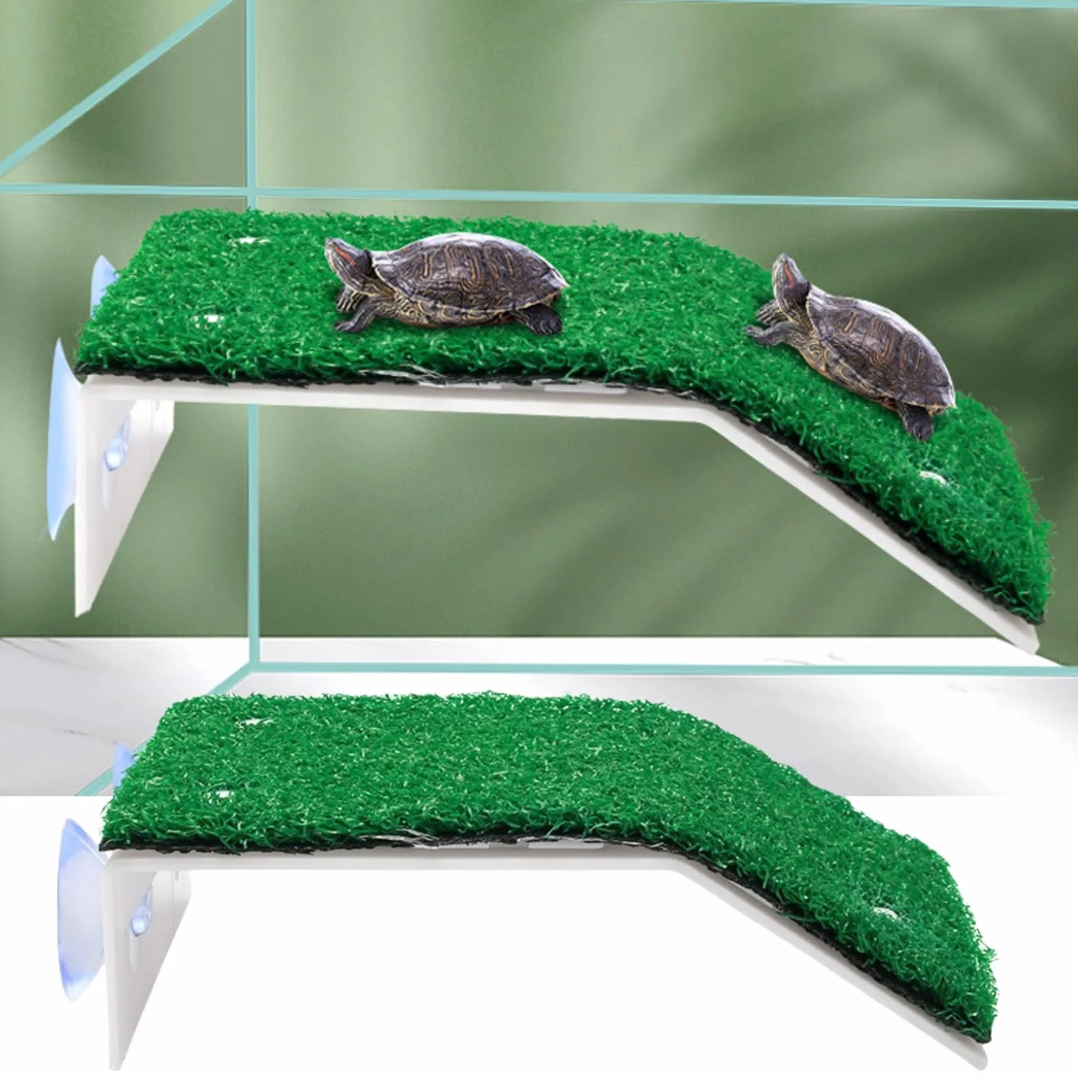 Plateforme Tortue Aquatique Sunbathing Platform pour Tortues Aquatiques
