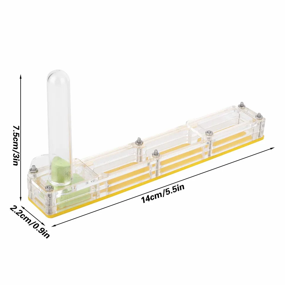 Ferme de Fourmis en Acrylique Transparent, Nid de Fourmis Jaune