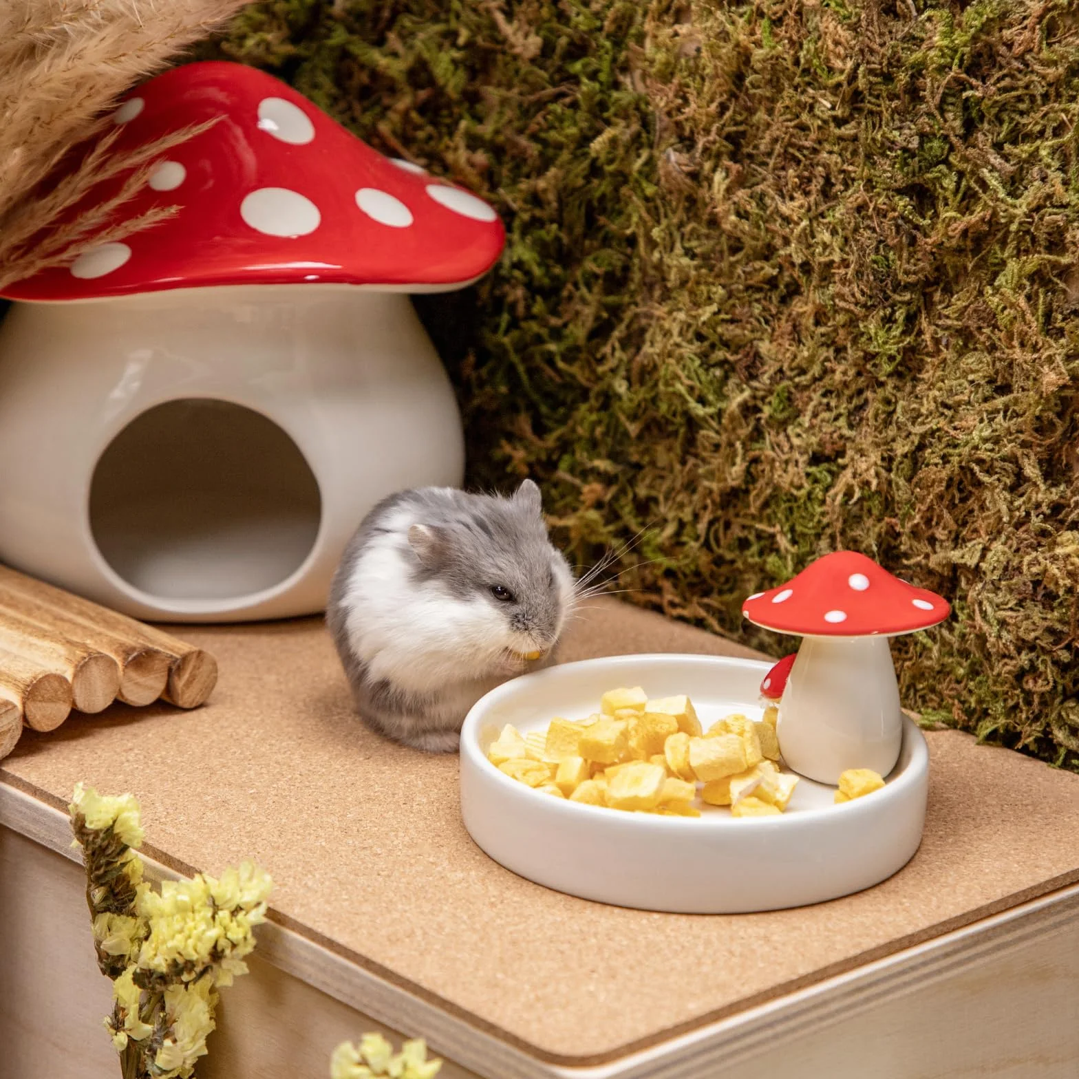Niteangel Gamelle hamster céramique champignon pour hamsters syriens nains gerbilles souris rats petits animaux