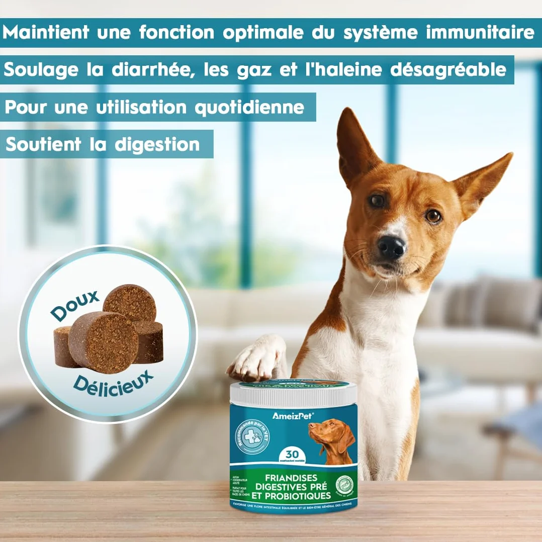 AmeizPet Dog Pré et Probiotiques pour Santé Intestinale, Biscuits Probiotiques Naturels Chien - Friandises Digestives, 30 Friandises
