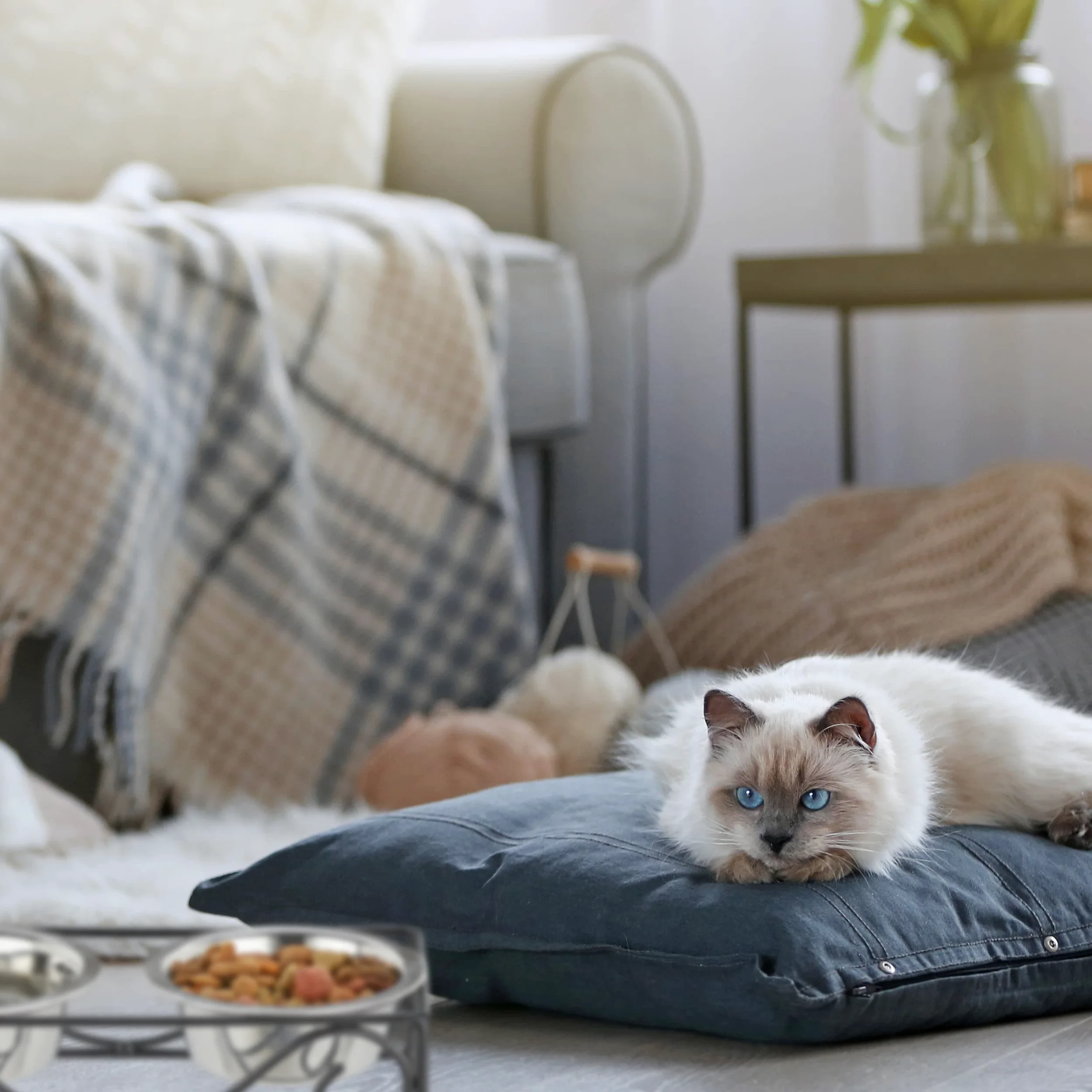 Relaxdays Porte-gamelles, pour Chiens et Chats, 2 écuelles, chacune ayant Un Volume de 300 ML, Noir/argenté