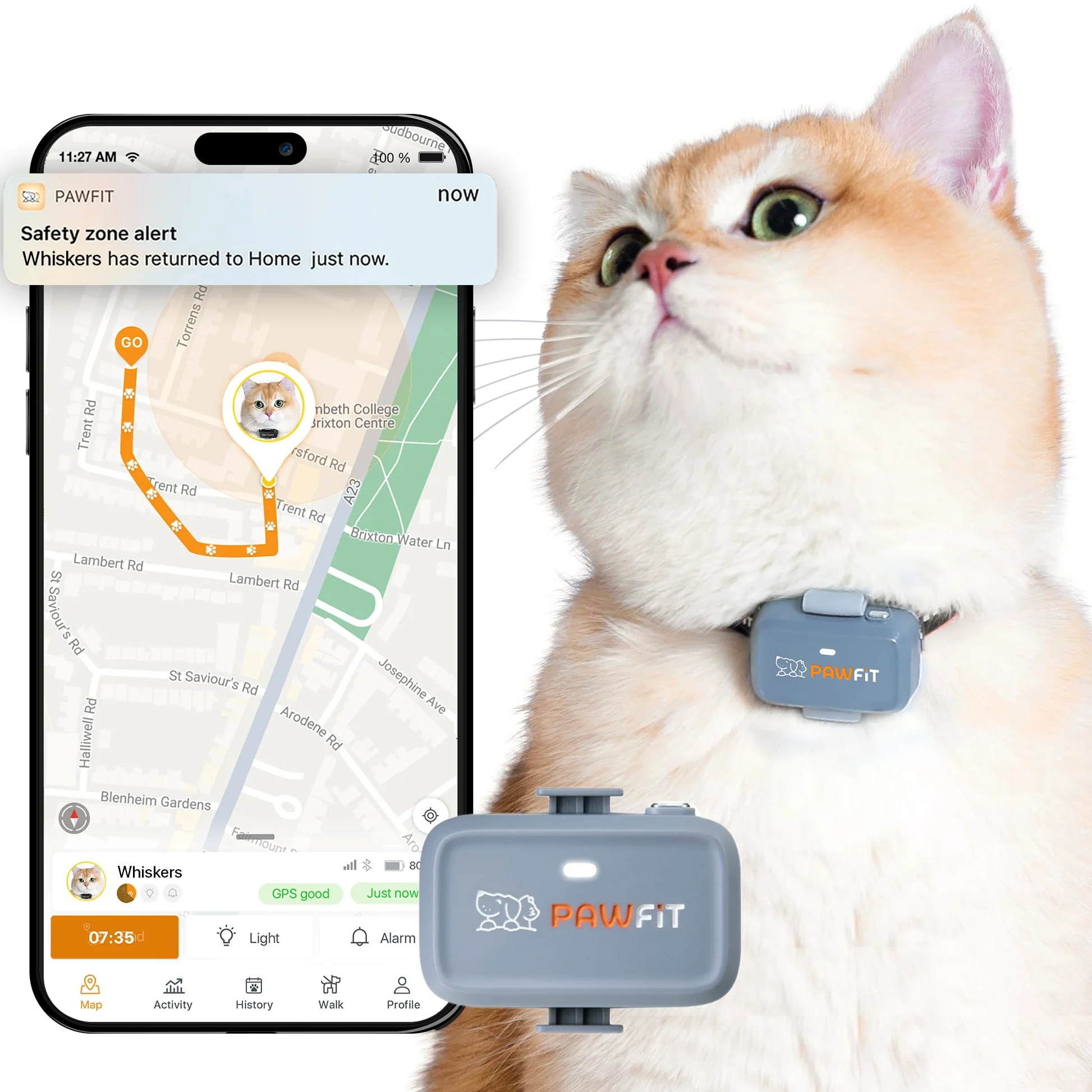 Pawfit Tracker GPS Lite for Cats 4g | Suivi en temps réel | Suivi des activités | Historique de localisation | Portée illimitée | Collier de sécurité inclus | Lilas gris