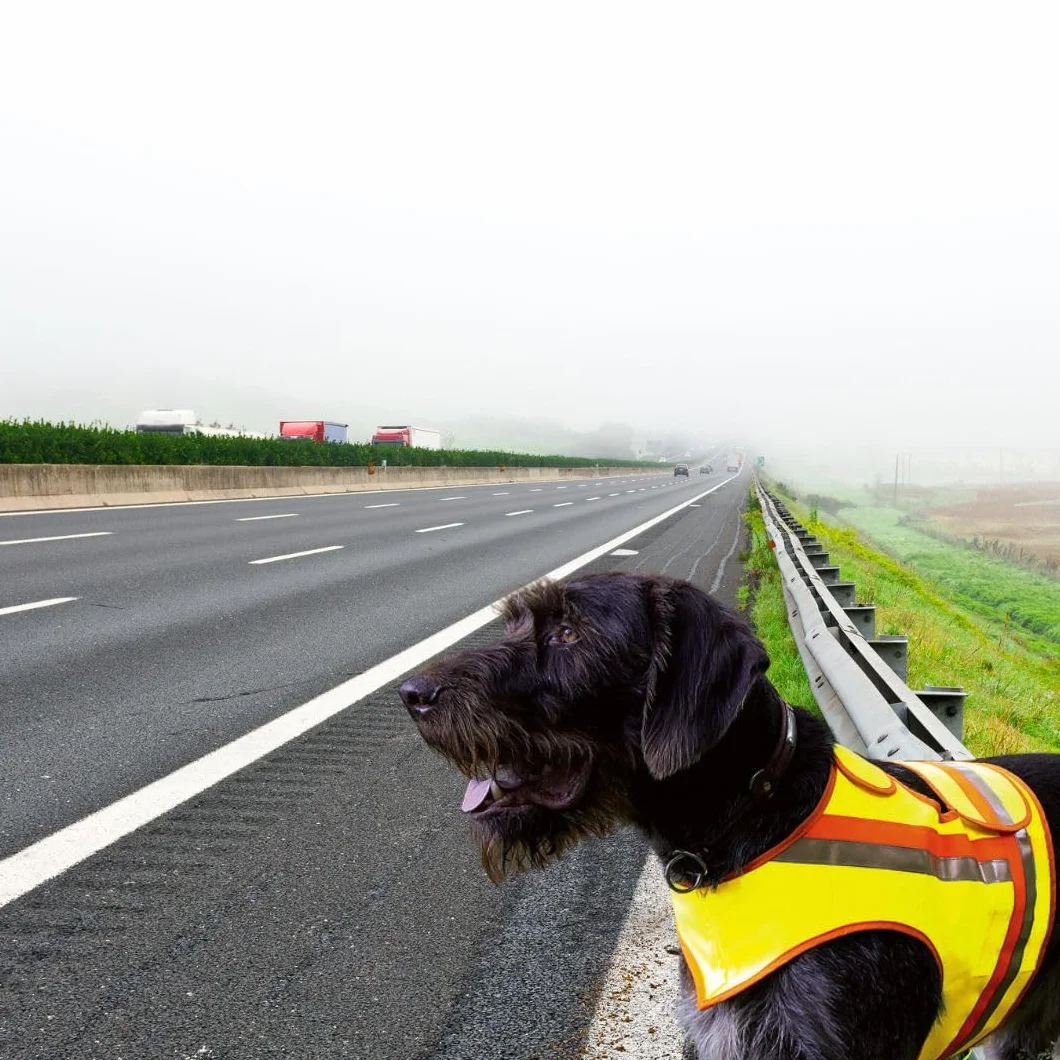 Gilet de sécurité réfléchissant pour chien jaune orange bandes réfléchissantes XL