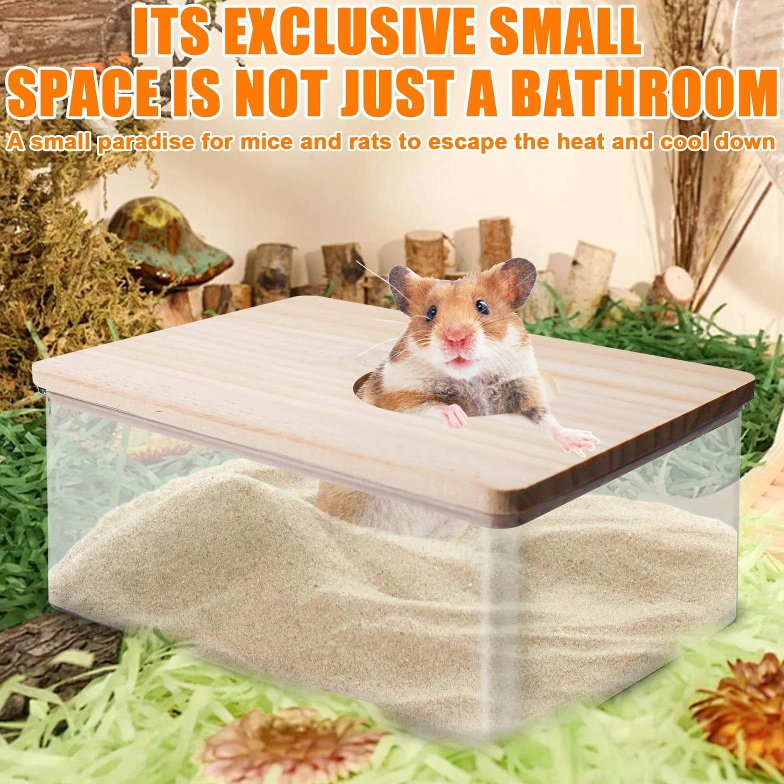 Hamster Salle de bain de sable transparent avec échelle et pelle, carré