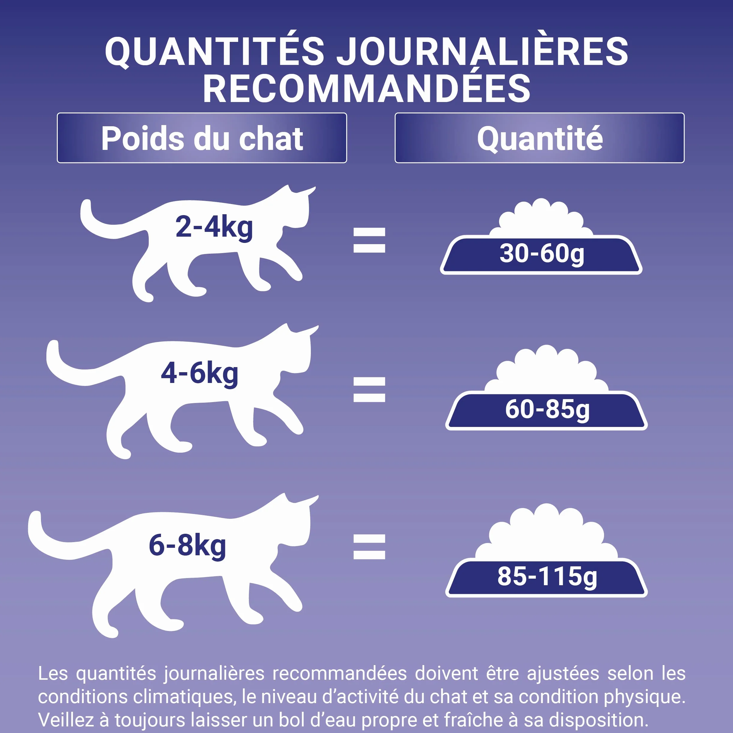 PURINA ONE BIFENSIS Croquettes Chat Adulte Spécial Système Urinaire au Poulet Lot de 10 x 450g