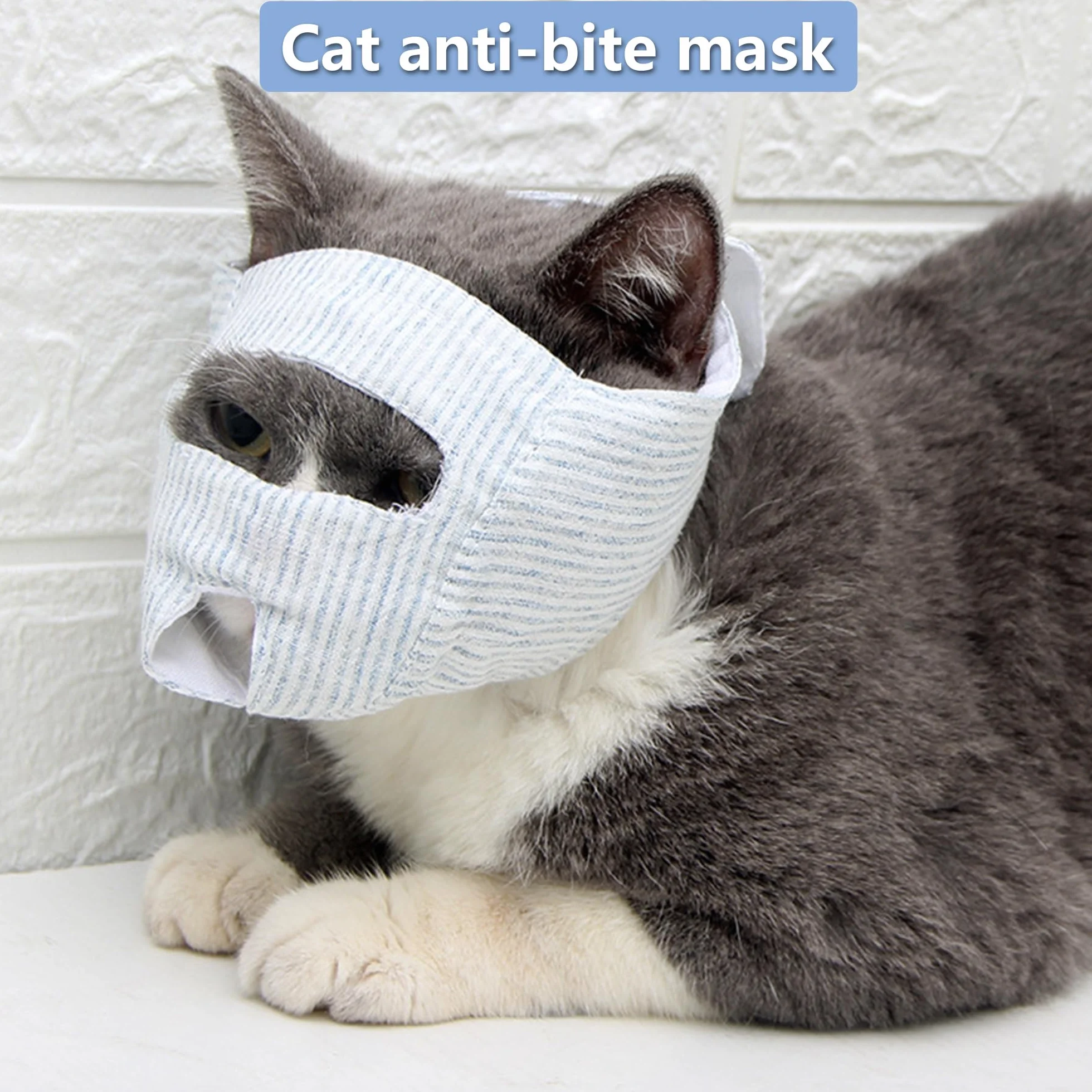 Museau Chat Anti-Morsure Respirant Réglable Protection Visage Soin Bain