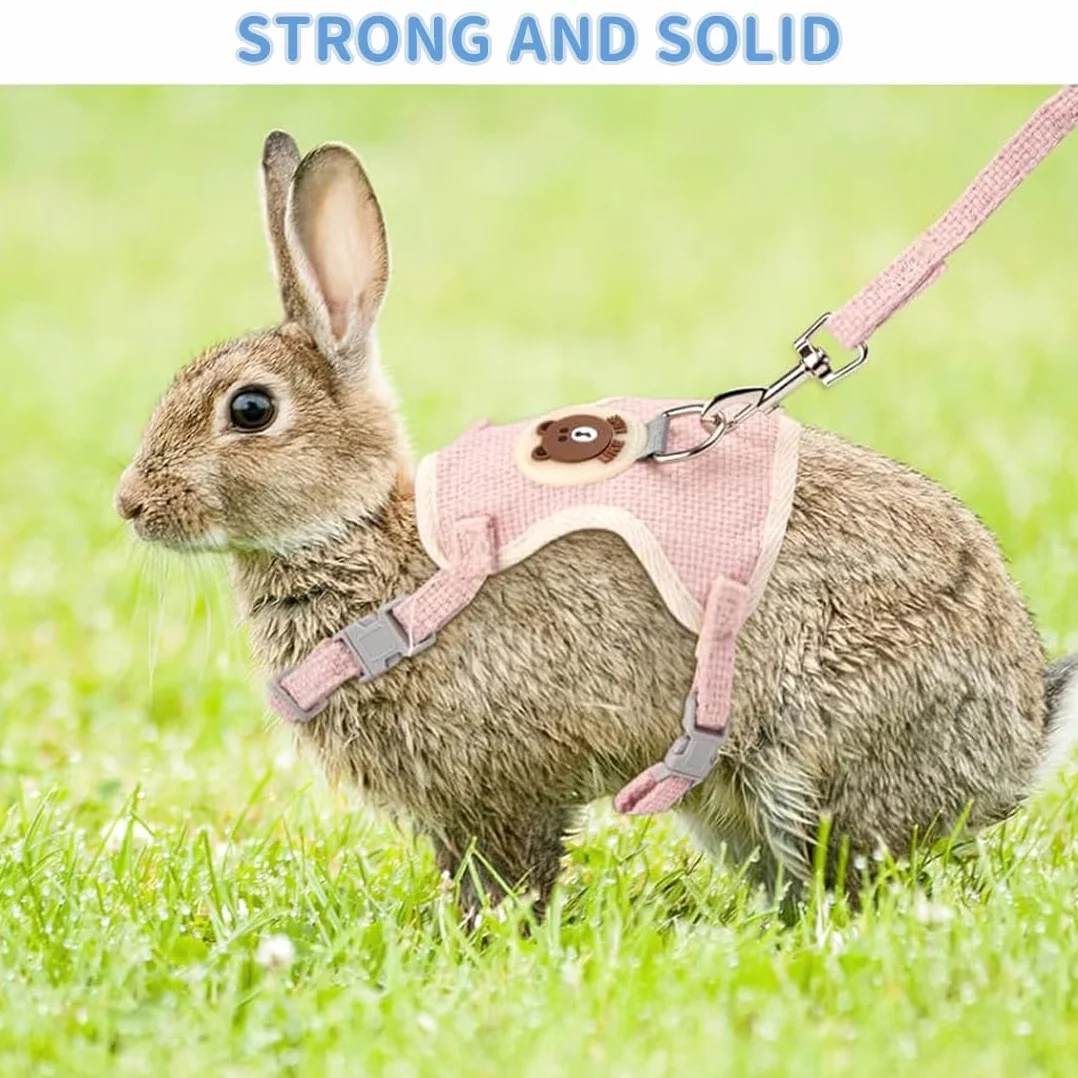 Harnais réglable pour Lapin avec Laisse - Set de 2 - Bleu et Rose - Accessoires Souples pour Chats et Petits Chiens