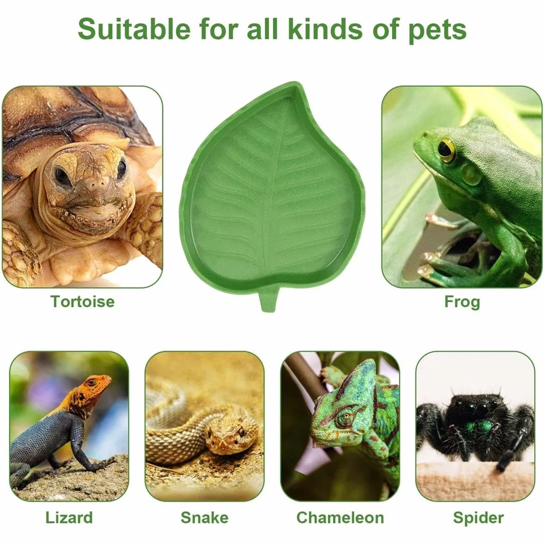 Bol D'Alimentation Pour Reptiles pour Tortues Lézards - Bol à Boire D'Eau en Feuilles