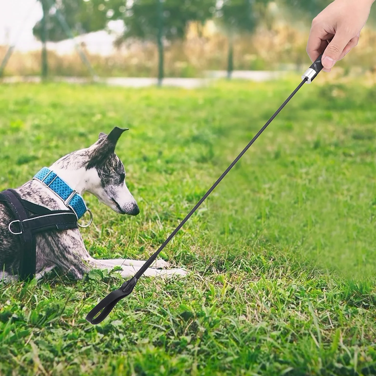 Fouet de Dressage Flexible en Plastique renforcé Noir pour Chien Gestion du Comportement Équitation