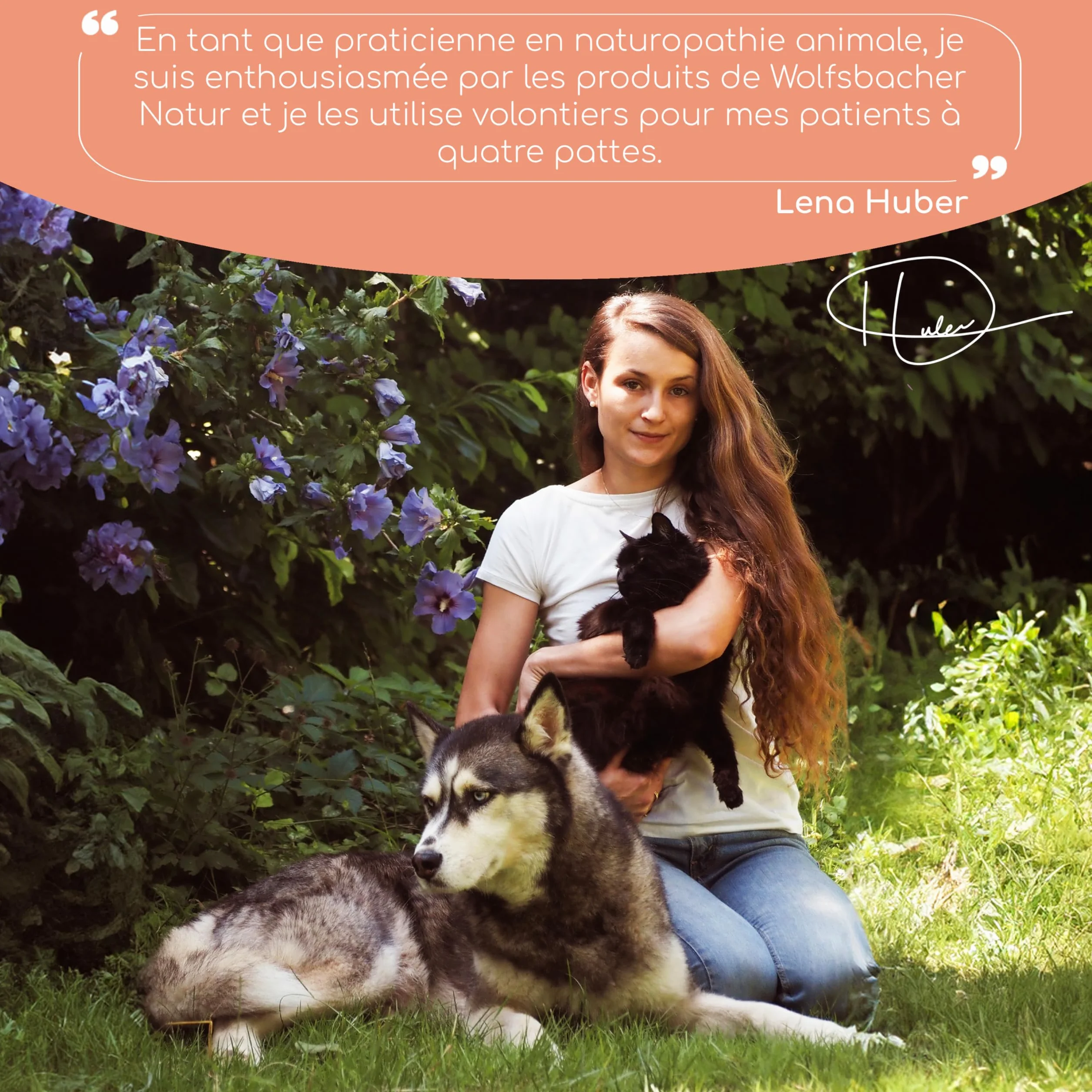 Huile de Saumon Norvégien pour Chats Oméga 3 & 6 100ml Complément Hautement Dosé