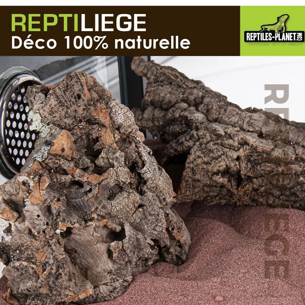 Reptiles Planet Assortiment de Liège pour Décoration de Terrarium 10 litres