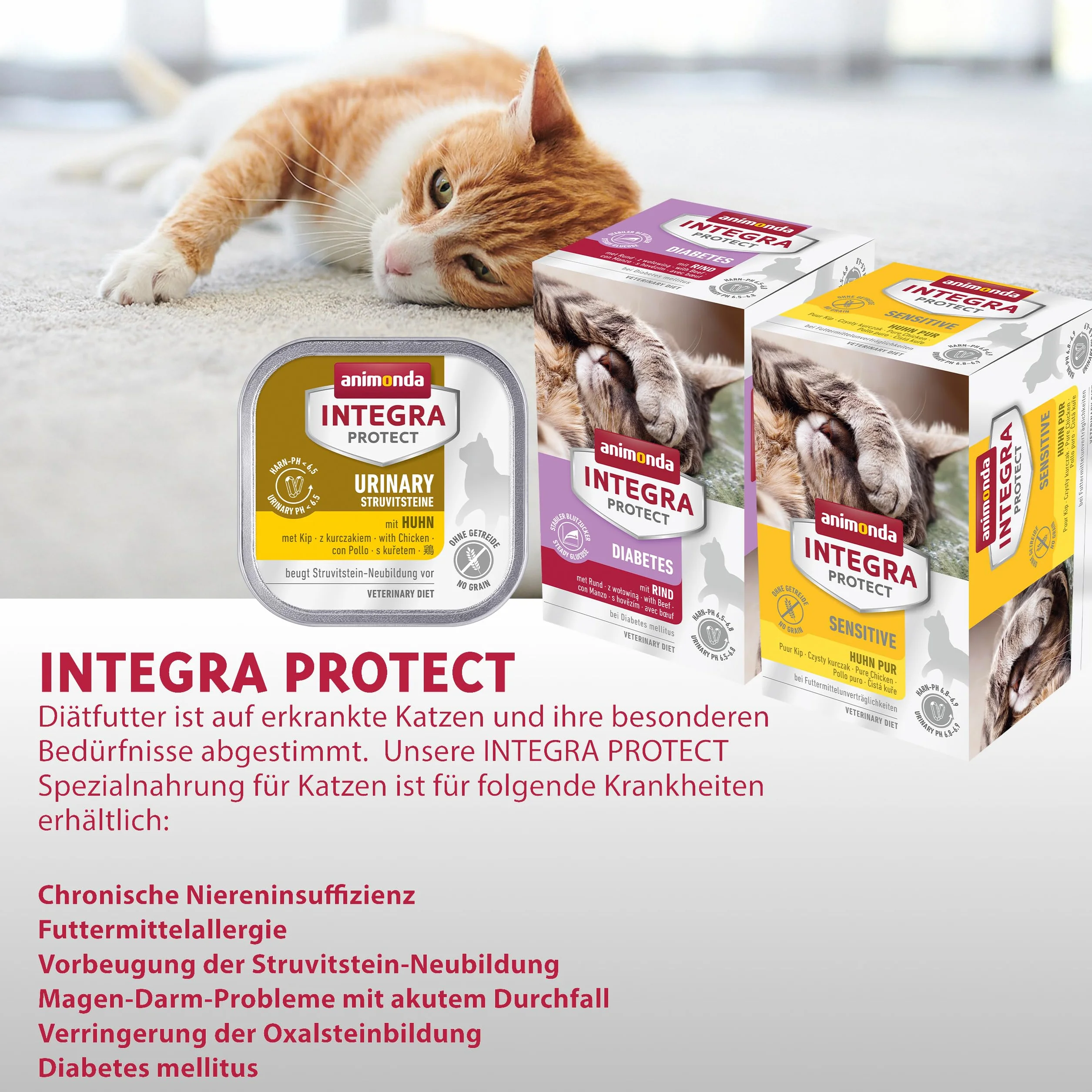 Animonda INTEGRA Protect Nourriture Humide pour Chat Renal Dinde Pur 6 x 100 g