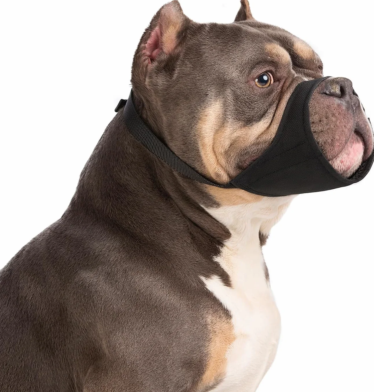 Muselière pour Chiens pour Pitbull Rottweilers American Bully Bulldog Boxers de Taille Moyenne et Grande à museau Court pour Le pour éviter Les morsures et Les aboiements pour Chiens