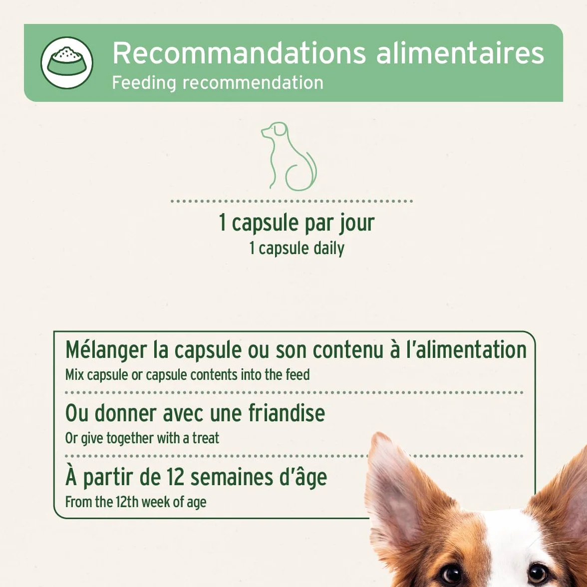 AniForte Bouclier Anti Tique pour Chiens 60 gélules Protection Anti-tiques Naturel & Efficace