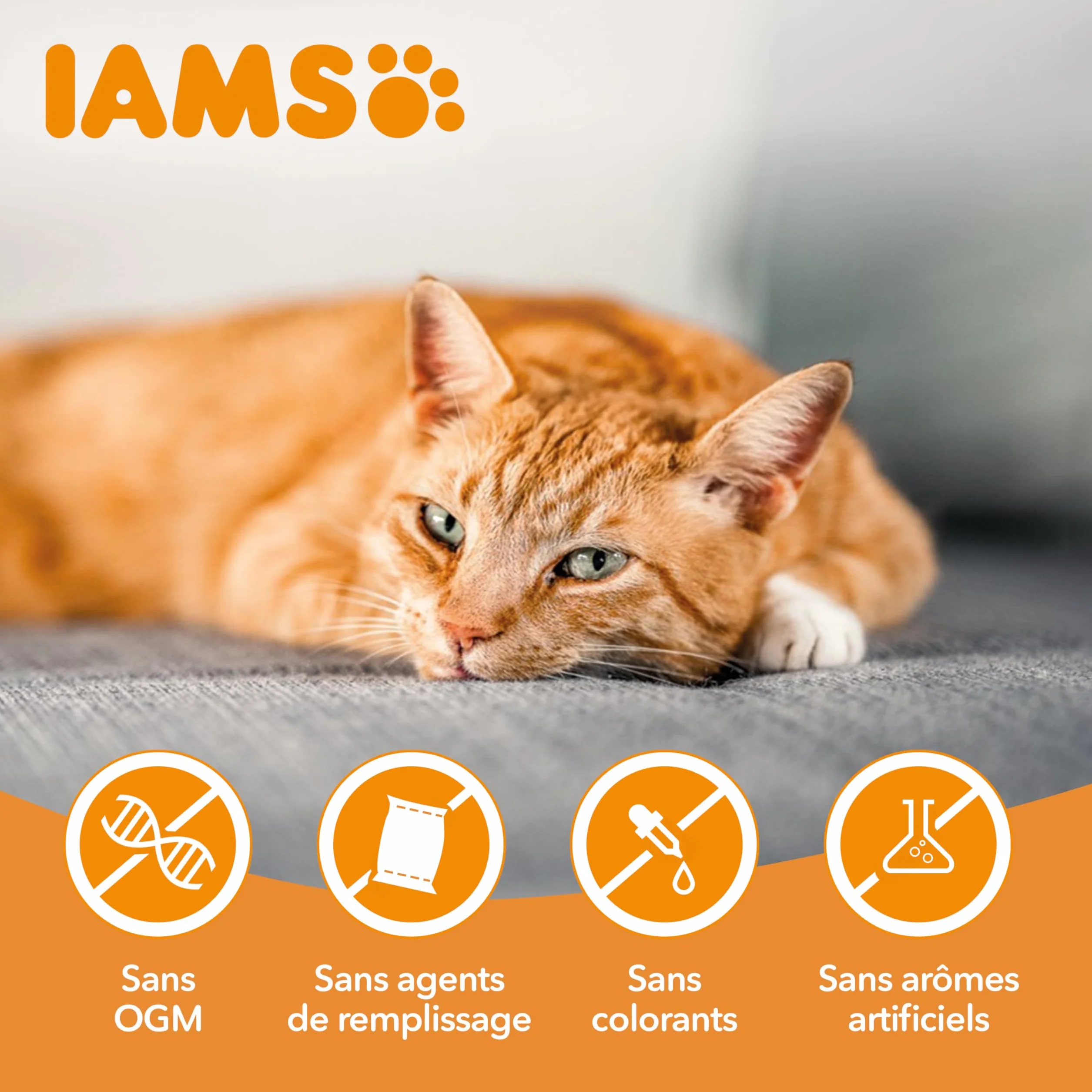 IAMS Advanced Nutrition Chat Adulte Digestion Sensible Alimentation sèche à la Dinde 10kg