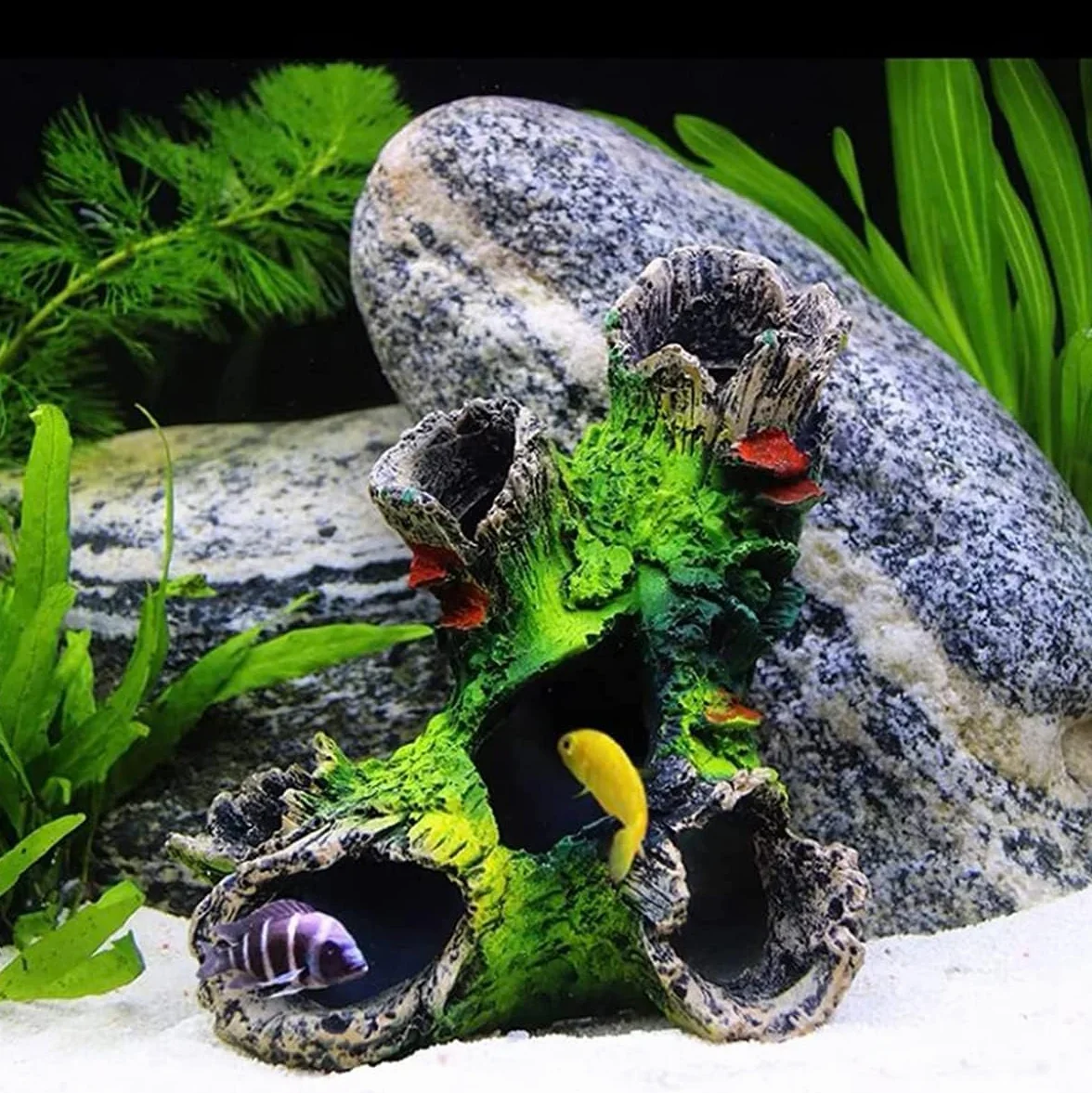 Décoration Aquarium Résine Grotte Cachette Poisson Ornement Sécure