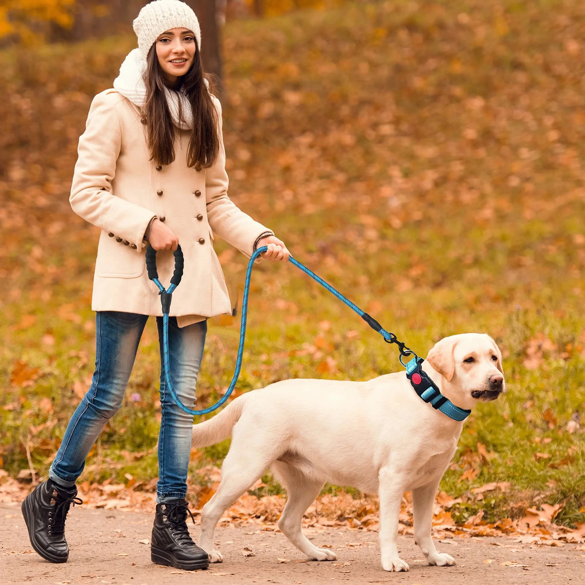 Collier pour Chien réfléchissant rembourré en néoprène Souple et Respirant, réglable en Nylon pour Chiens