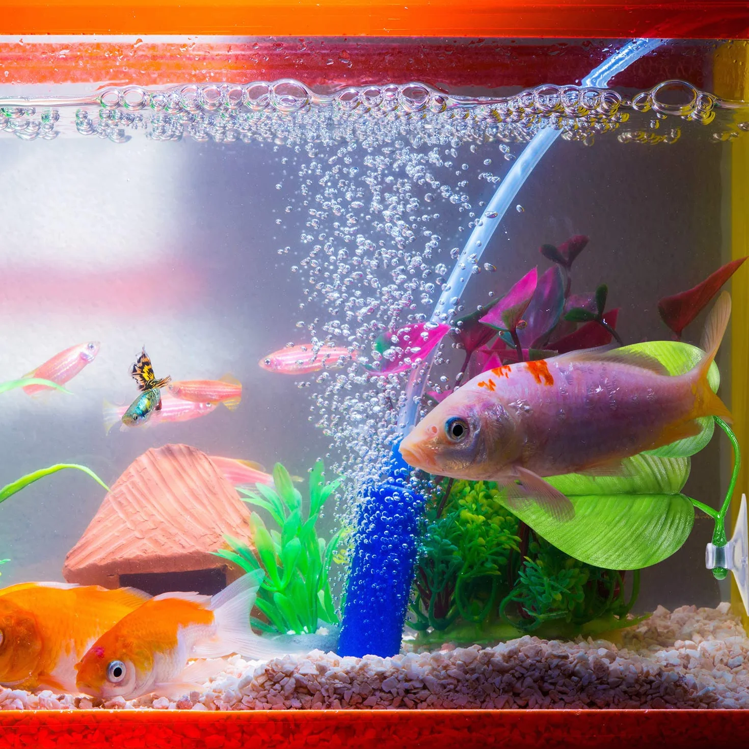 Hamac Feuille de Lit Betta pour Poisson Betta, Spot de Repos Léger et Réaliste, Sans BPA, Double Feuille