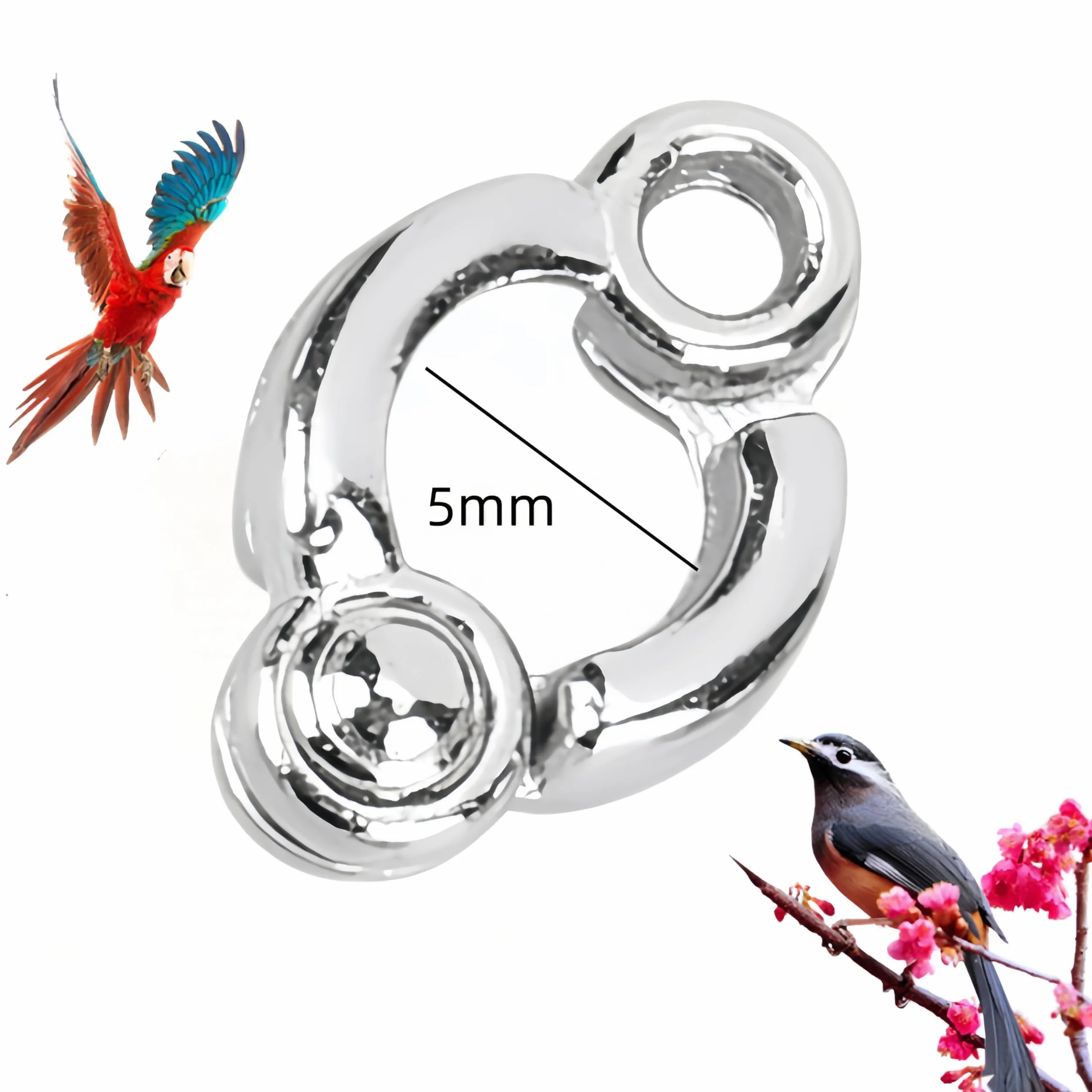 Lot de 6 anneaux pour pattes de perroquet, anneau d'activités de formation pour oiseau