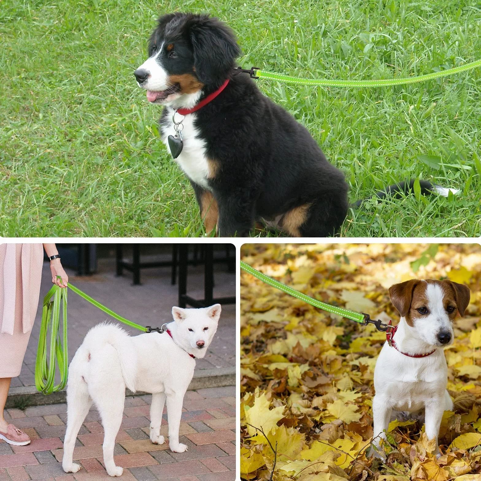 COMSLE Longe pour Chien Réfléchissante 3m 5m 10m 15m 20m avec Poignée Rembourrée