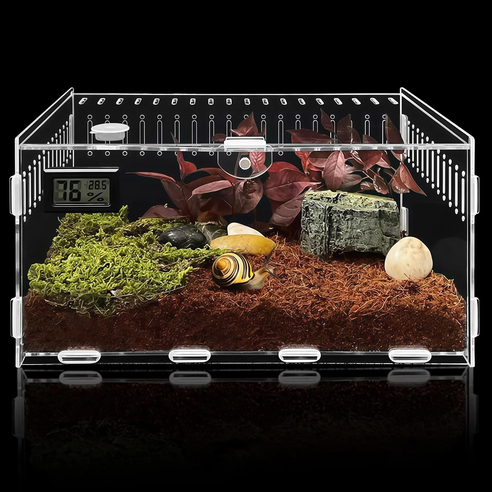 Terrarium acrylique 30x20x15 cm transparent pour escargots insectes araignées gecko