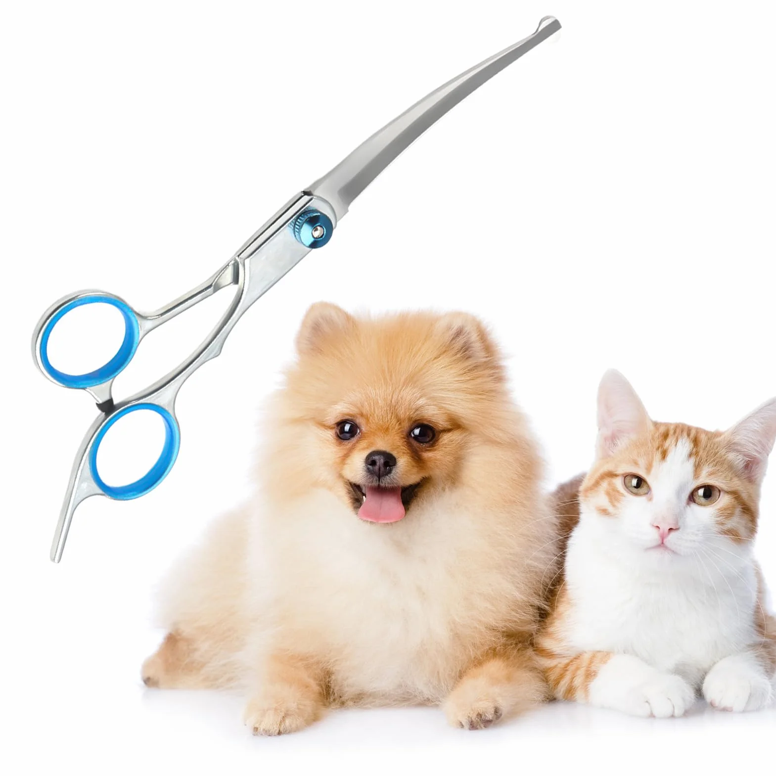 Ciseaux Courbes pour Toilettage d'Animaux | Ciseaux Toilettage Chien Professionnel | Acier Inoxydable avec Pointe de Sécurité Arrondie | Idéals pour Couper les Poils de Chiens et Chats