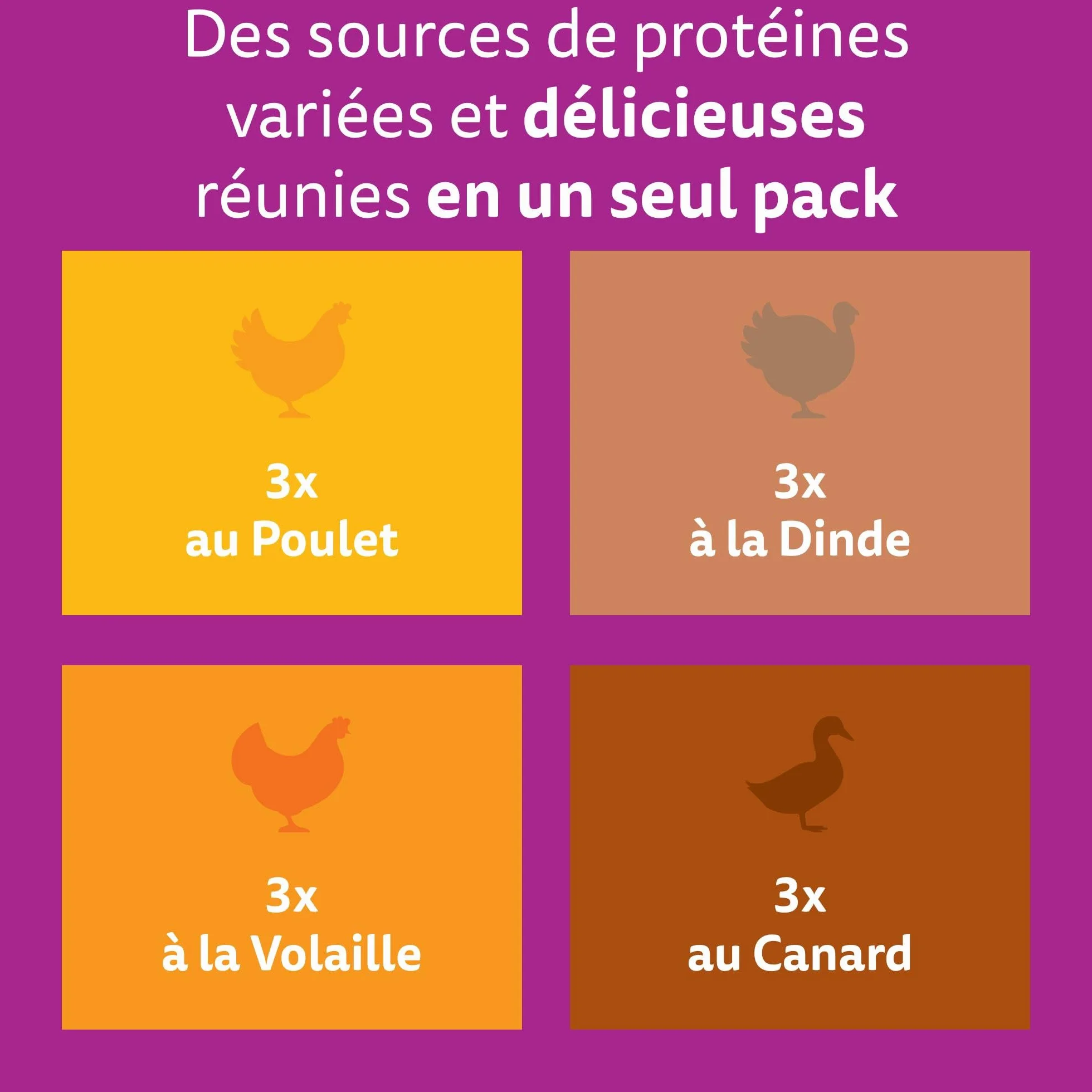WHISKAS Aliment humide en sauce Chat senior 7+ 12x85g Festins à la Volaille (Lot de 4) 48 Sachets