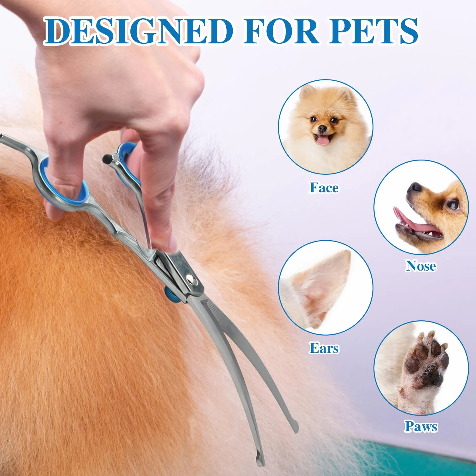 Ciseaux Courbes pour Toilettage d'Animaux | Ciseaux Toilettage Chien Professionnel | Acier Inoxydable avec Pointe de Sécurité Arrondie | Idéals pour Couper les Poils de Chiens et Chats