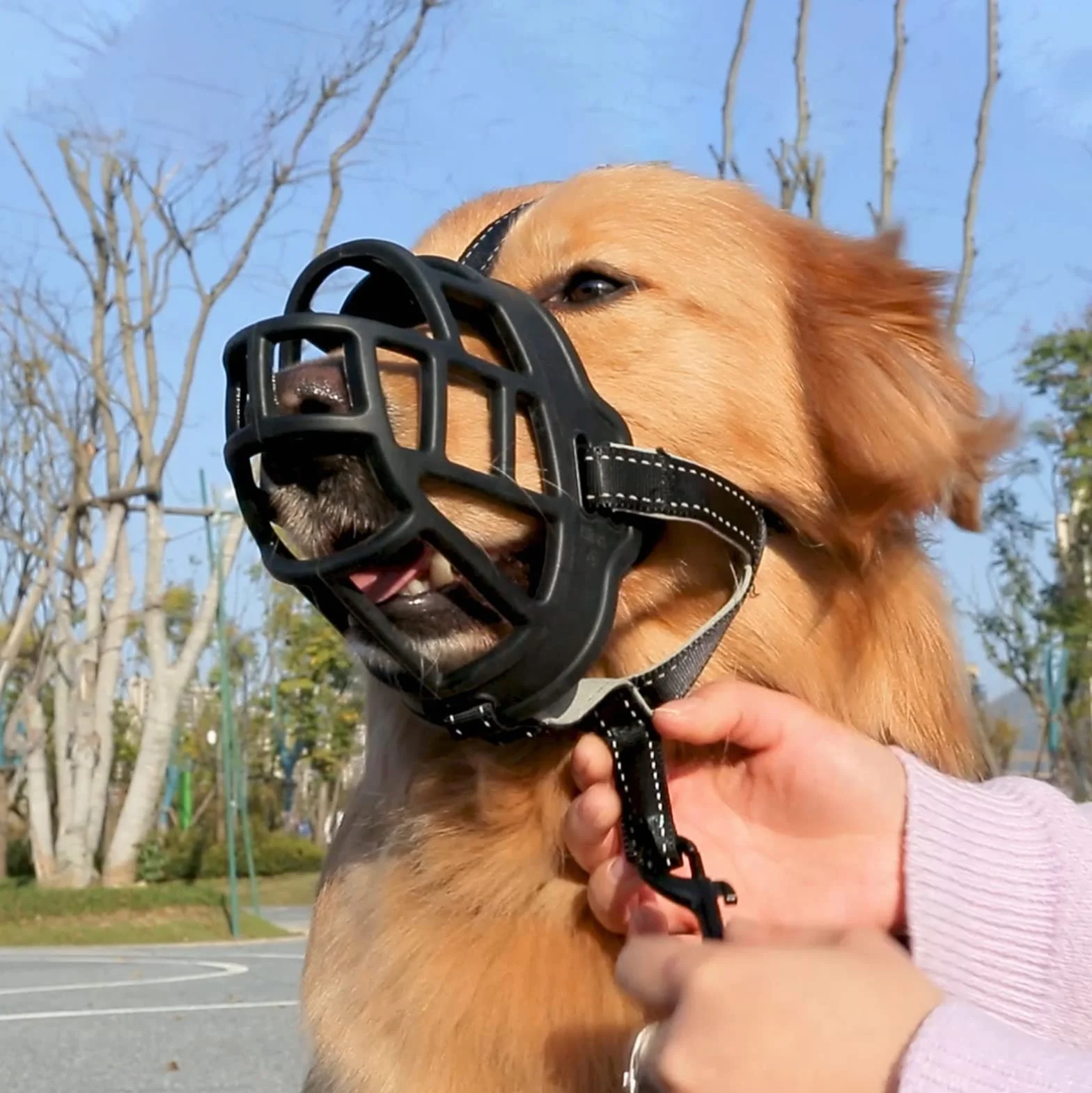 ILEPARK Muselière Panier pour Chiens, Prévient L'aboiement, Mâche, Réglable pour Petits, Moyens Et Grands Chiens. (Taille 4,Noir)