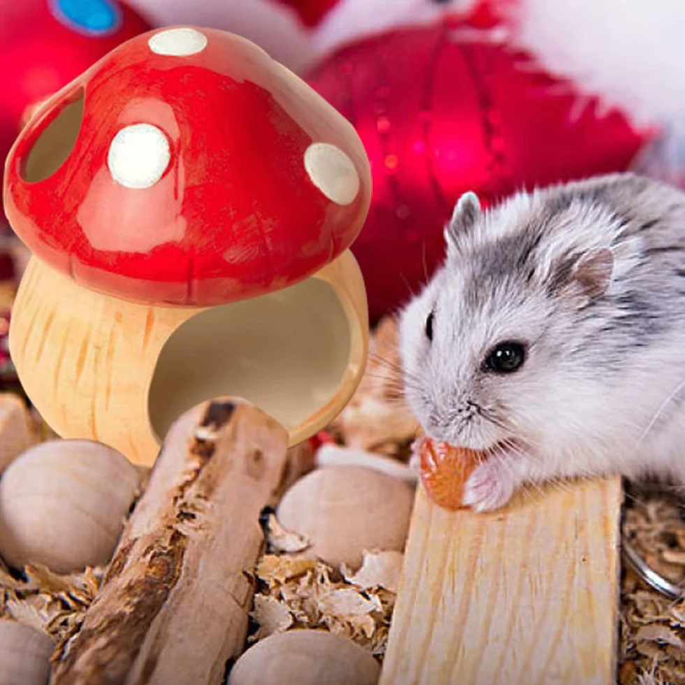 Maison de Hamster en Céramique, Cachette Champignon avec Gamelle, Refuge Frais pour Hamsters Nains, Gerbilles, Souris et Hamsters Dorés (Pet Nest+Pet Bowl)
