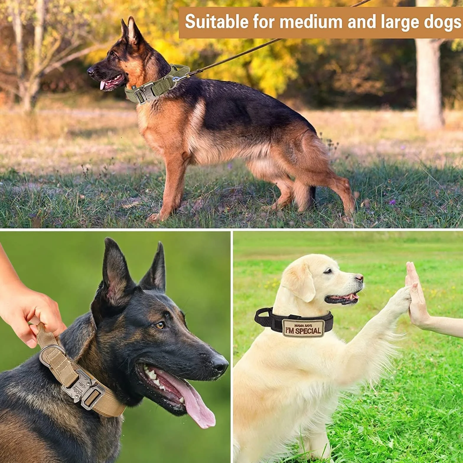 Tactique Collier et Laisse pour Chien réglable Nylon Militaire Boucle Métal Robuste Laisse élastique Dressage Taille XL Kaki
