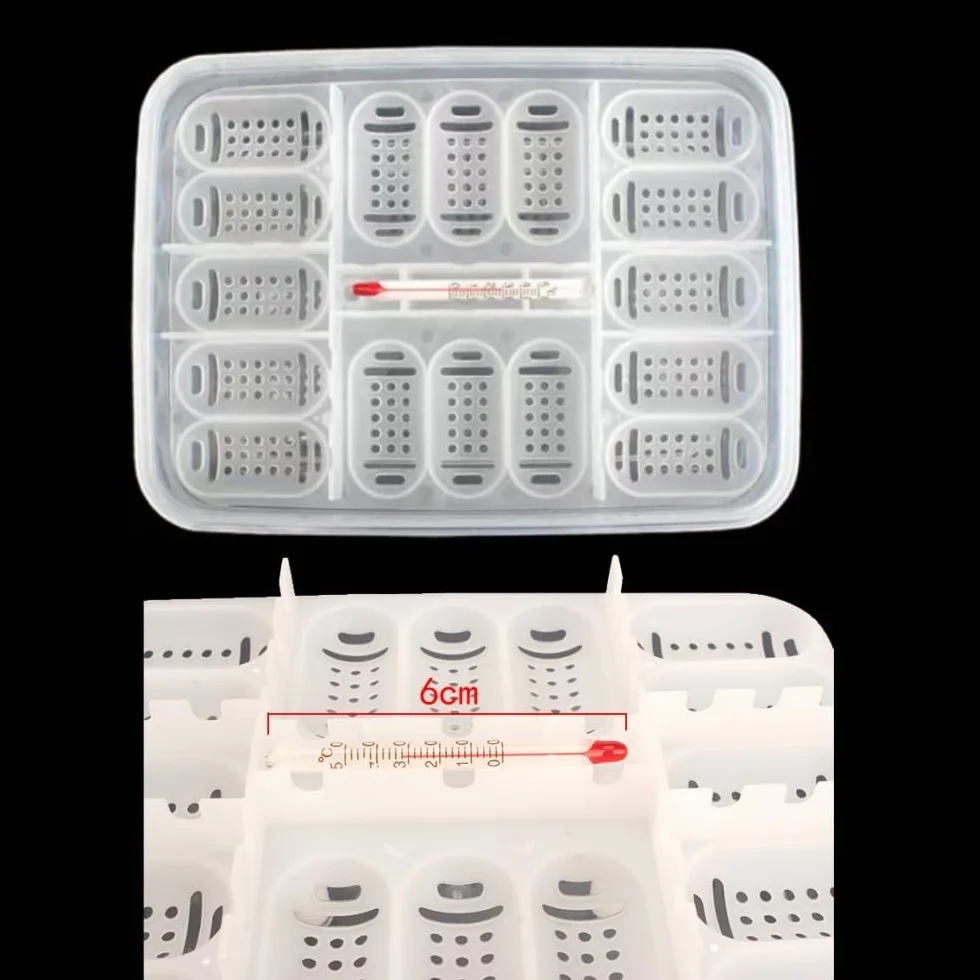 Incubateur Reptiles Boîte d'Élevage Transparente 16 Grilles pour Œufs Serpents Lézards Amphibiens