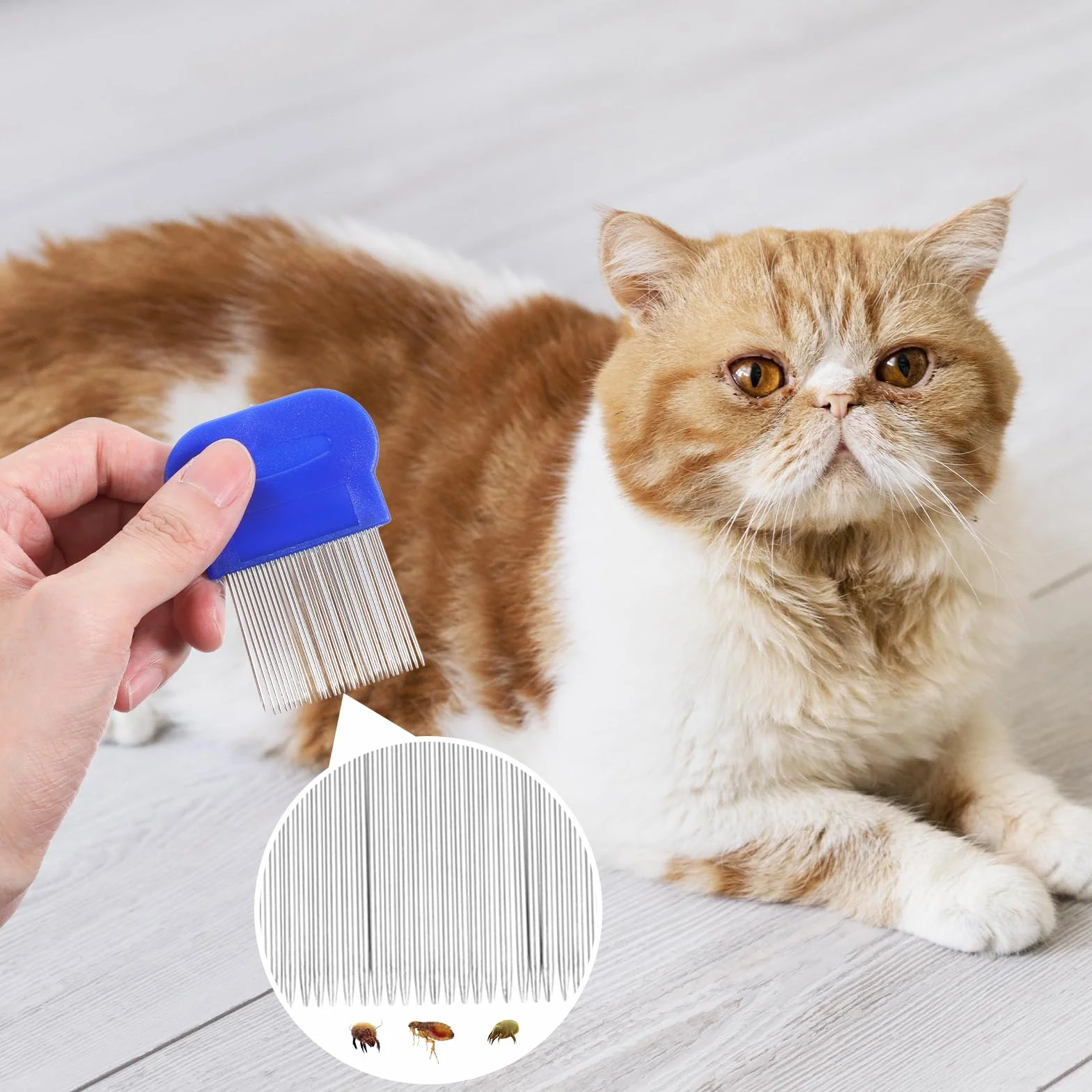 Molain Lot de 4 peignes anti-poux en métal pour chat et chien - Peigne anti-puces en plastique double face - Peigne anti-poux en acier inoxydable - Peigne à poux en métal - Bleu