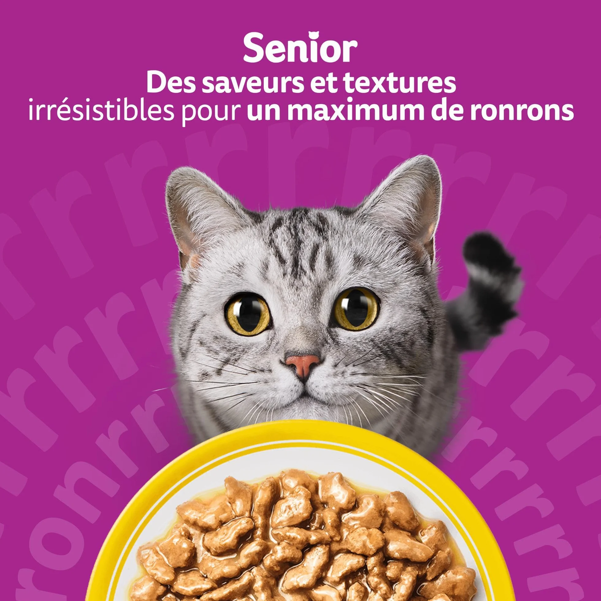 WHISKAS Aliment humide en sauce Chat senior 7+ 12x85g Festins à la Volaille (Lot de 4) 48 Sachets