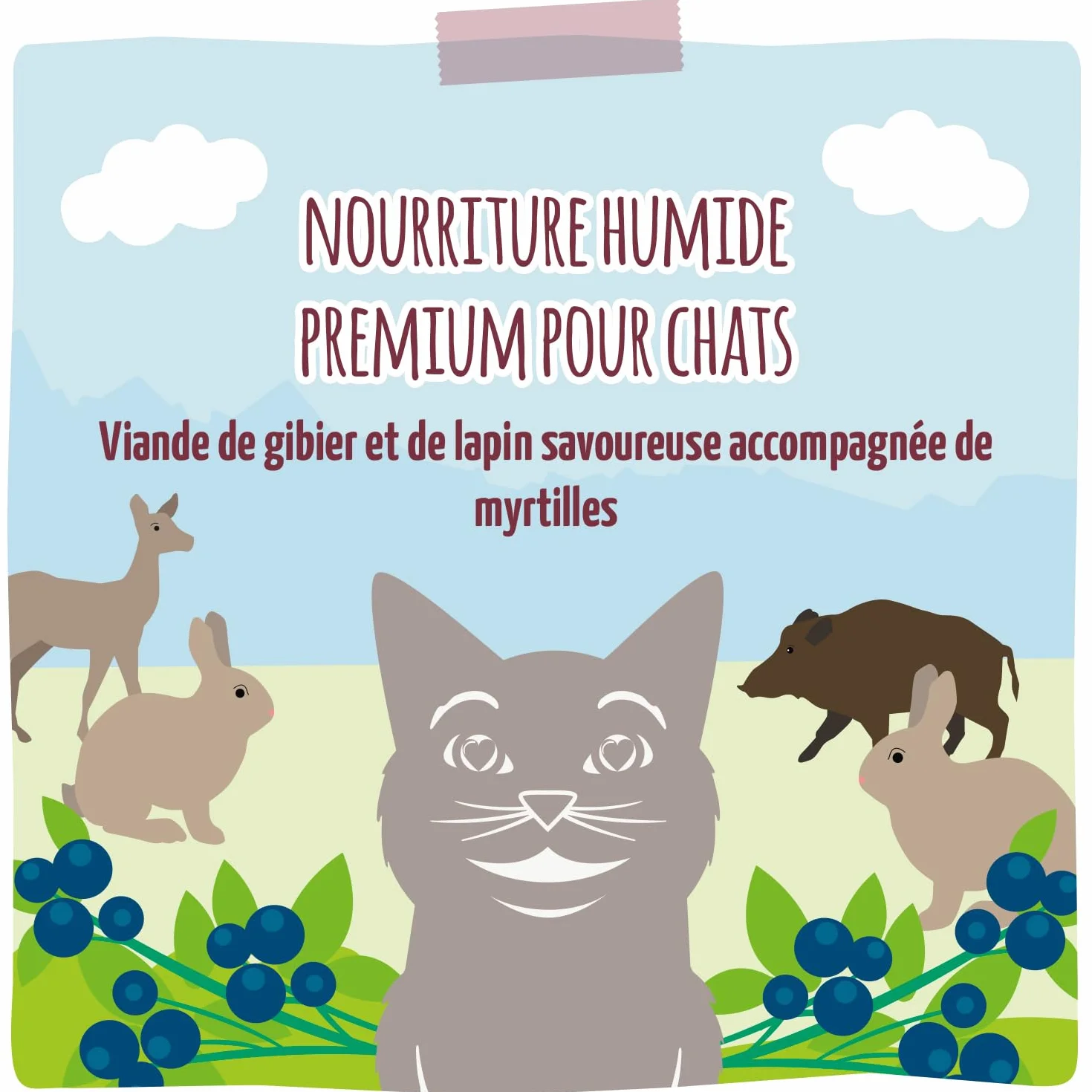 MjAMjAM - nourriture humide premium pour chats - gibier copieux et lapin aux myrtilles fruitées, paquet de 6 (6 x 200 g), sans céréales avec supplément de viande