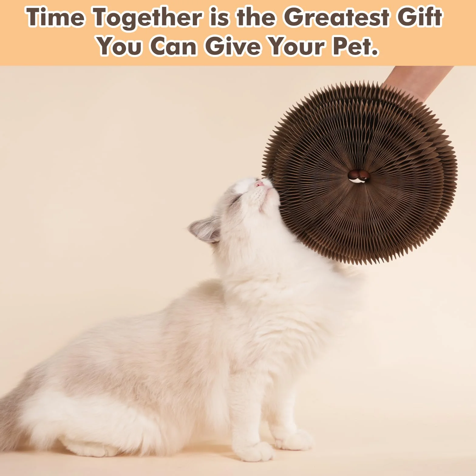 Griffoir pour Chat Magique Organ en Carton avec Balle Jouet Interactif et Circuit de Jeu Evolutif