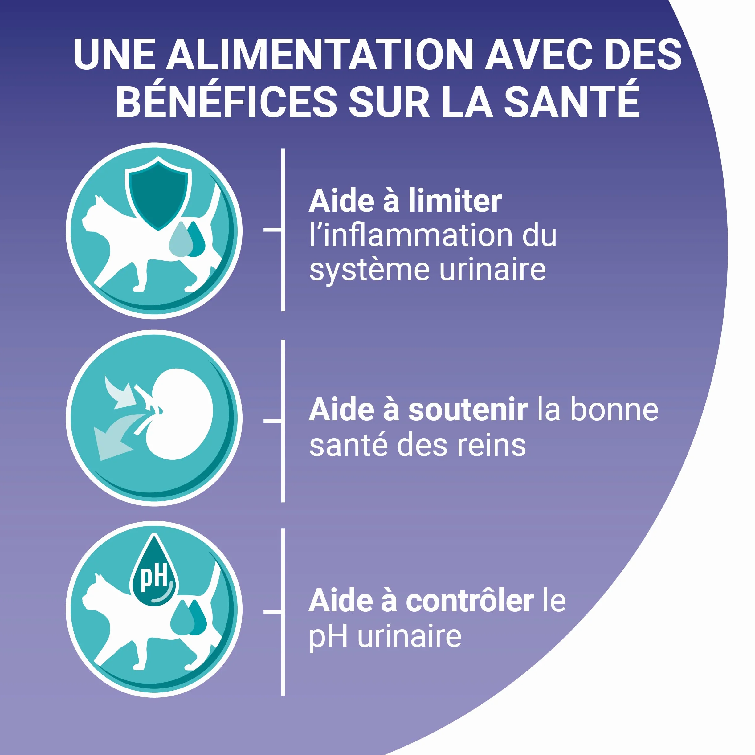 PURINA ONE BIFENSIS Croquettes Chat Adulte Spécial Système Urinaire au Poulet Lot de 10 x 450g