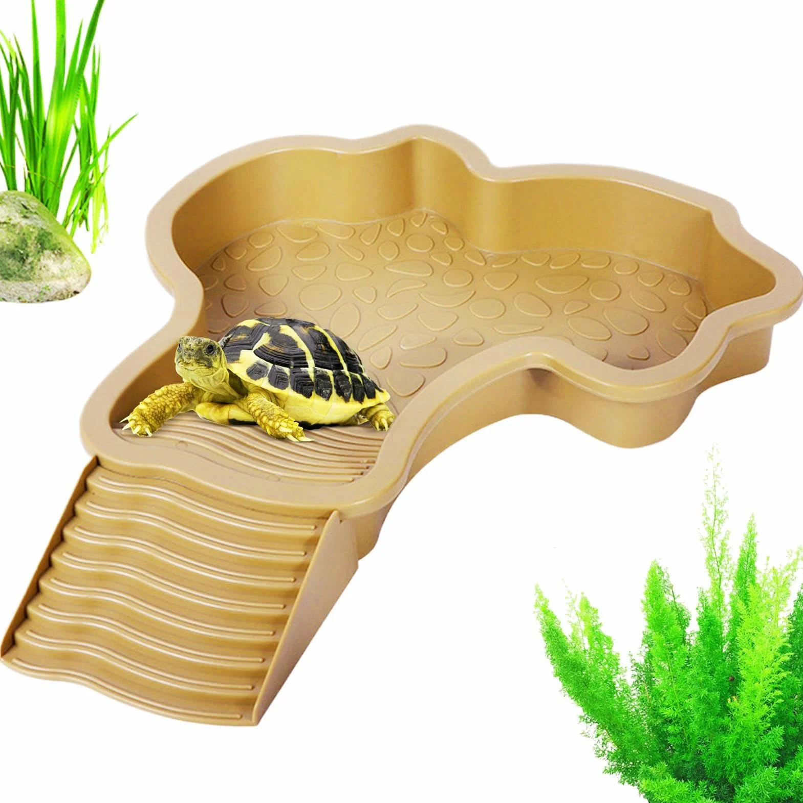 Mangeoire Tortue Piscine 35x28,5x4,3 cm Baignoire Reptiles Bassin de Bain