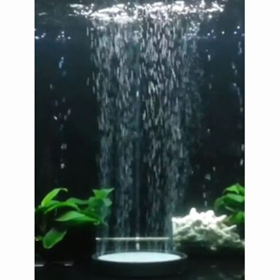 DIGIFLEX Disque de Pierre en Carborundum pour Aquarium