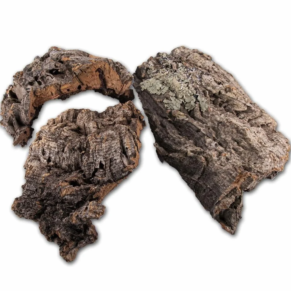 Reptiles Planet Assortiment de Liège pour Décoration de Terrarium 10 litres