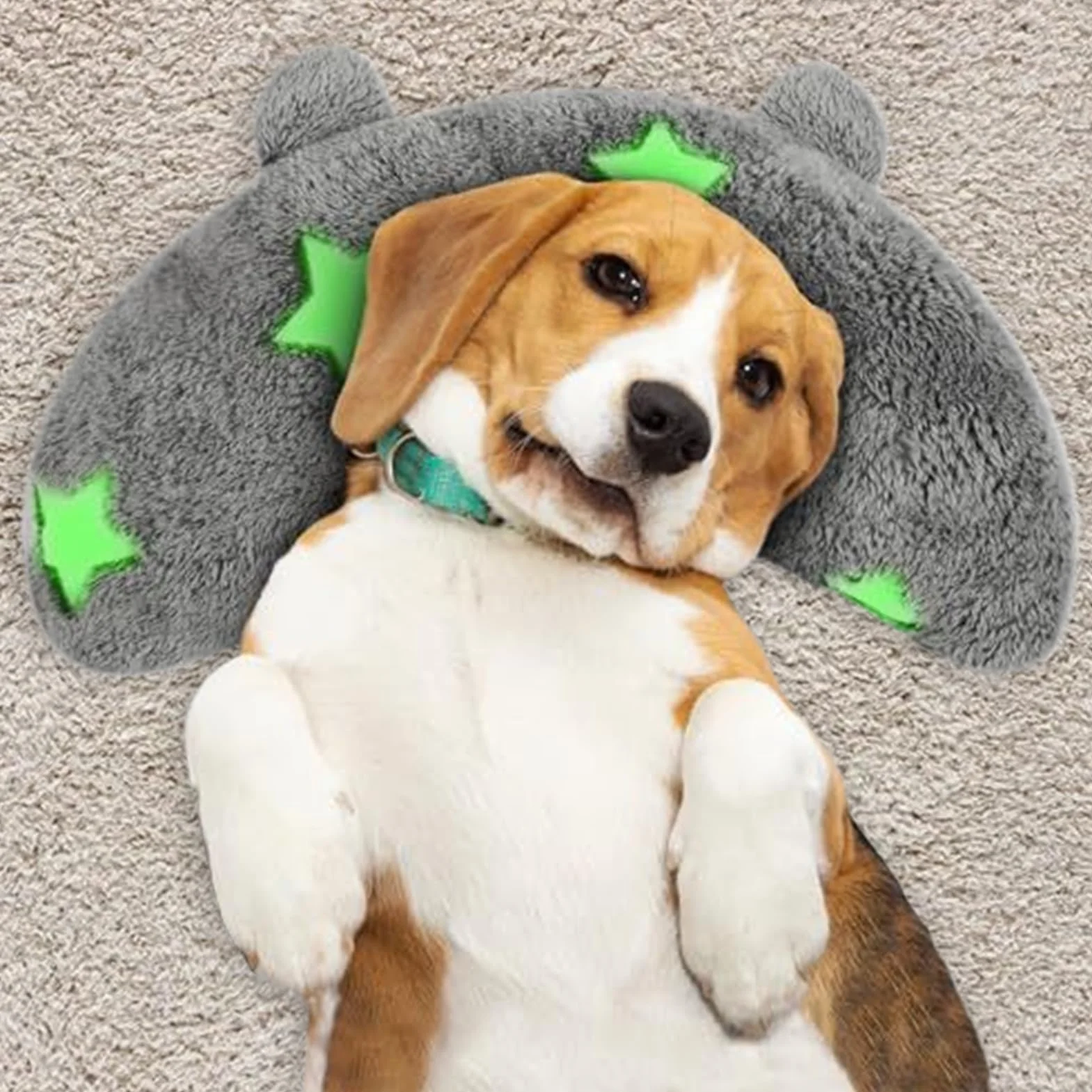 Coussin apaisant pour Chien, Design Moelleux, Anti-Stress, Rembourrage en Peluche