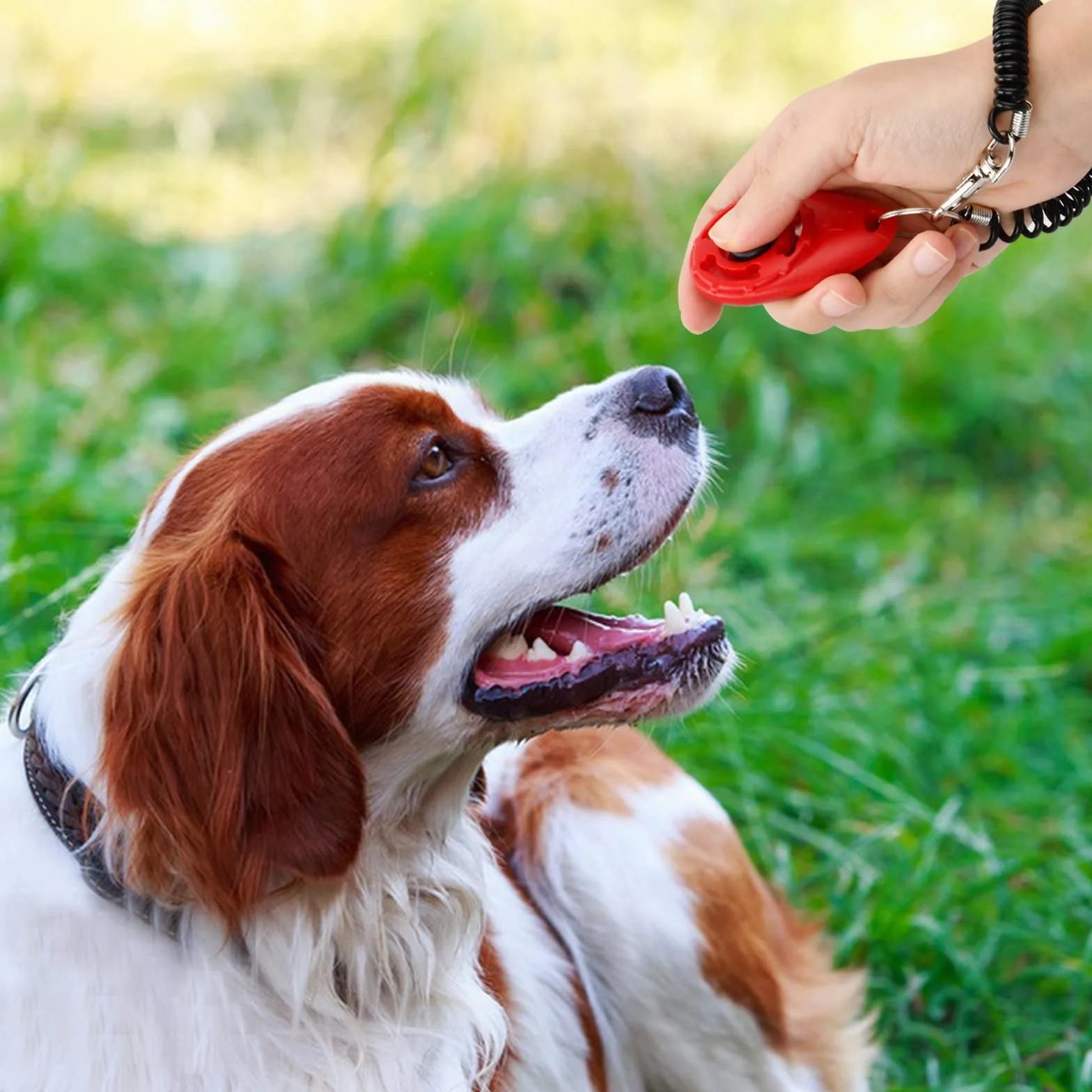16 Pièces Chiens Clicker Formation, Pet Training Clicker, Professionnel Clicker avec Dragonne élastique, Dog Clicker Training, Dressage de Chiens Clicker pour Chat, Cheval, Chien