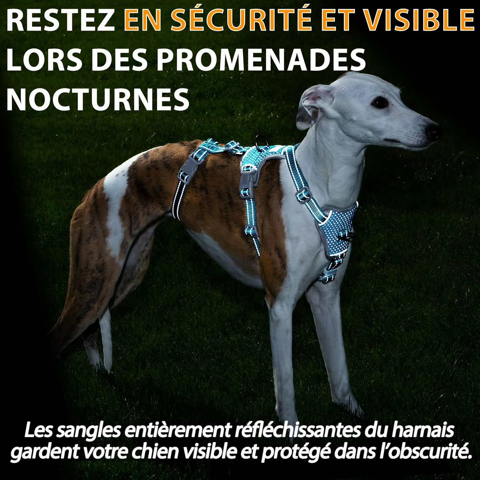 Huntboo Harnais Anti-Fugue pour Chien, Réfléchissant Anti-Traction, Durable Réglable Respirant, Bleu S